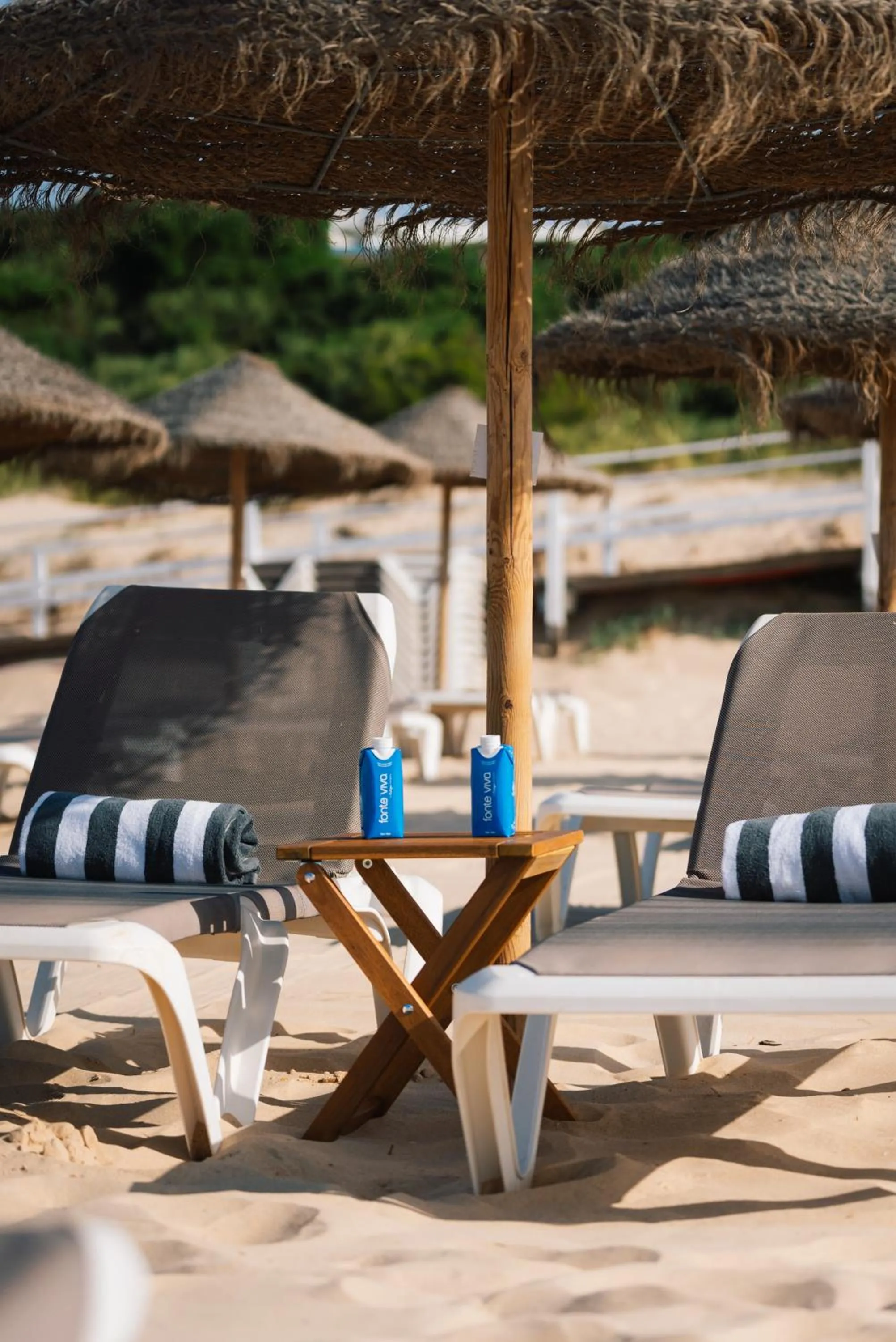 Beach in Octant Praia Verde