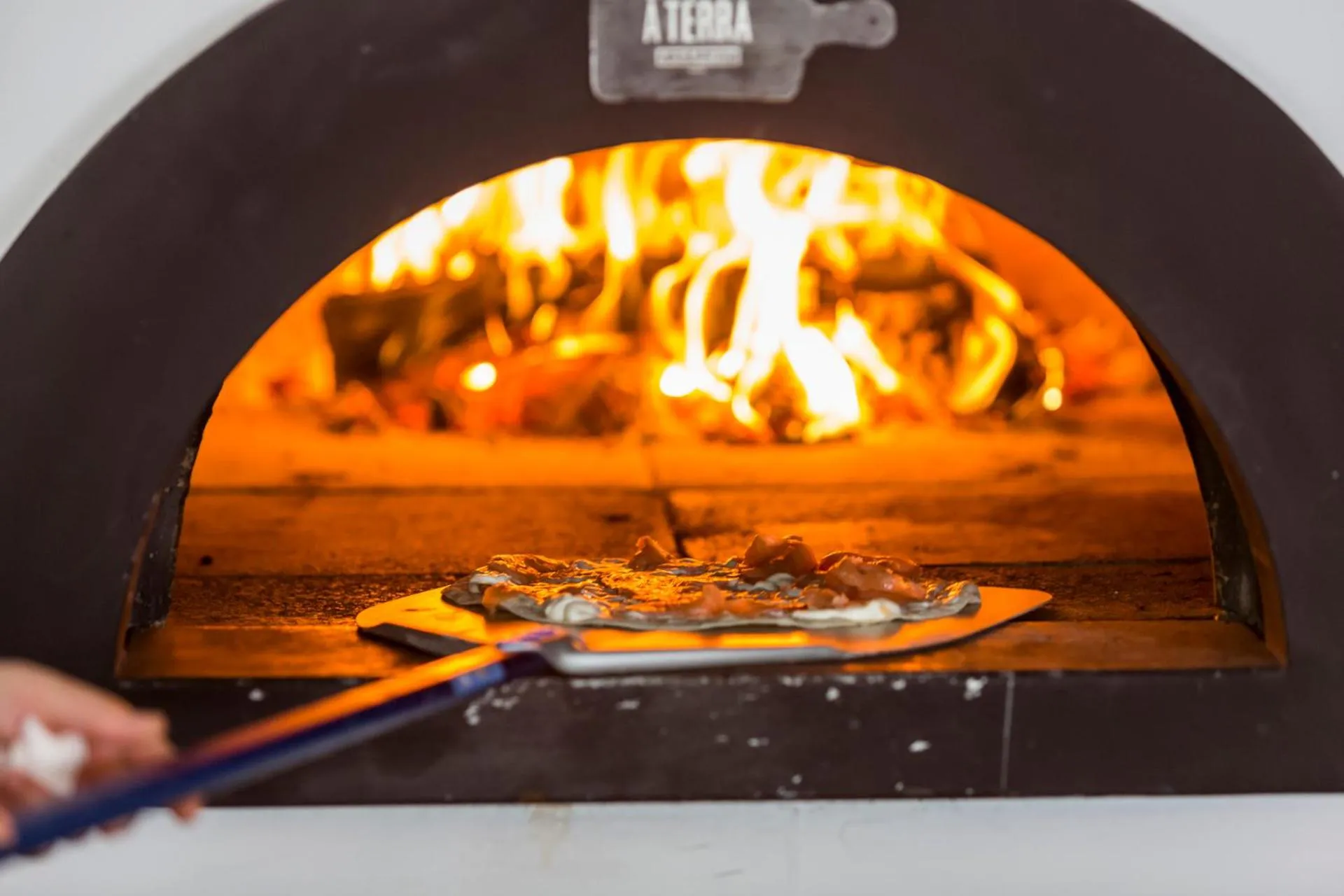 Restaurant/places to eat in Octant Praia Verde