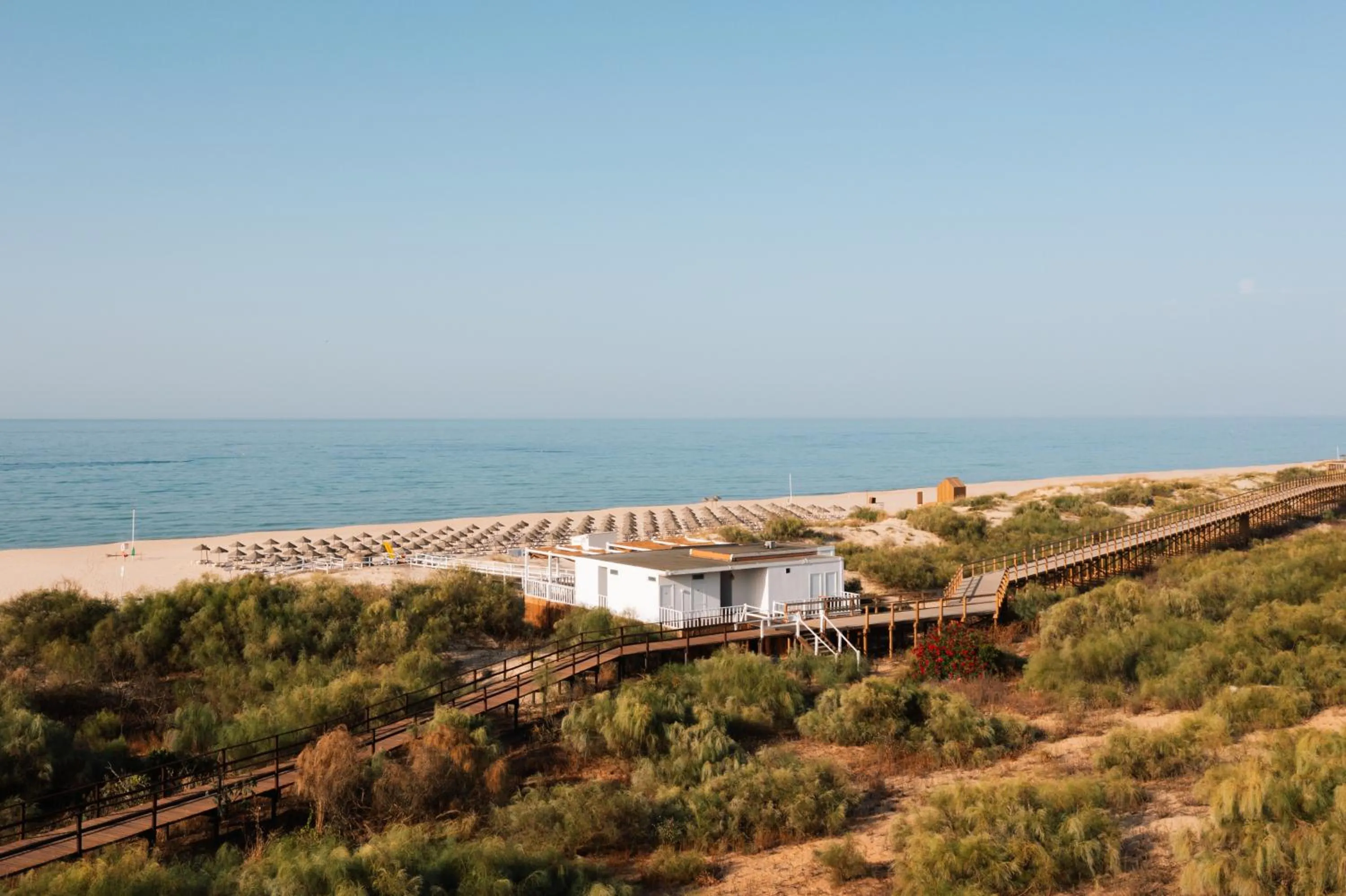 Restaurant/places to eat in Octant Praia Verde