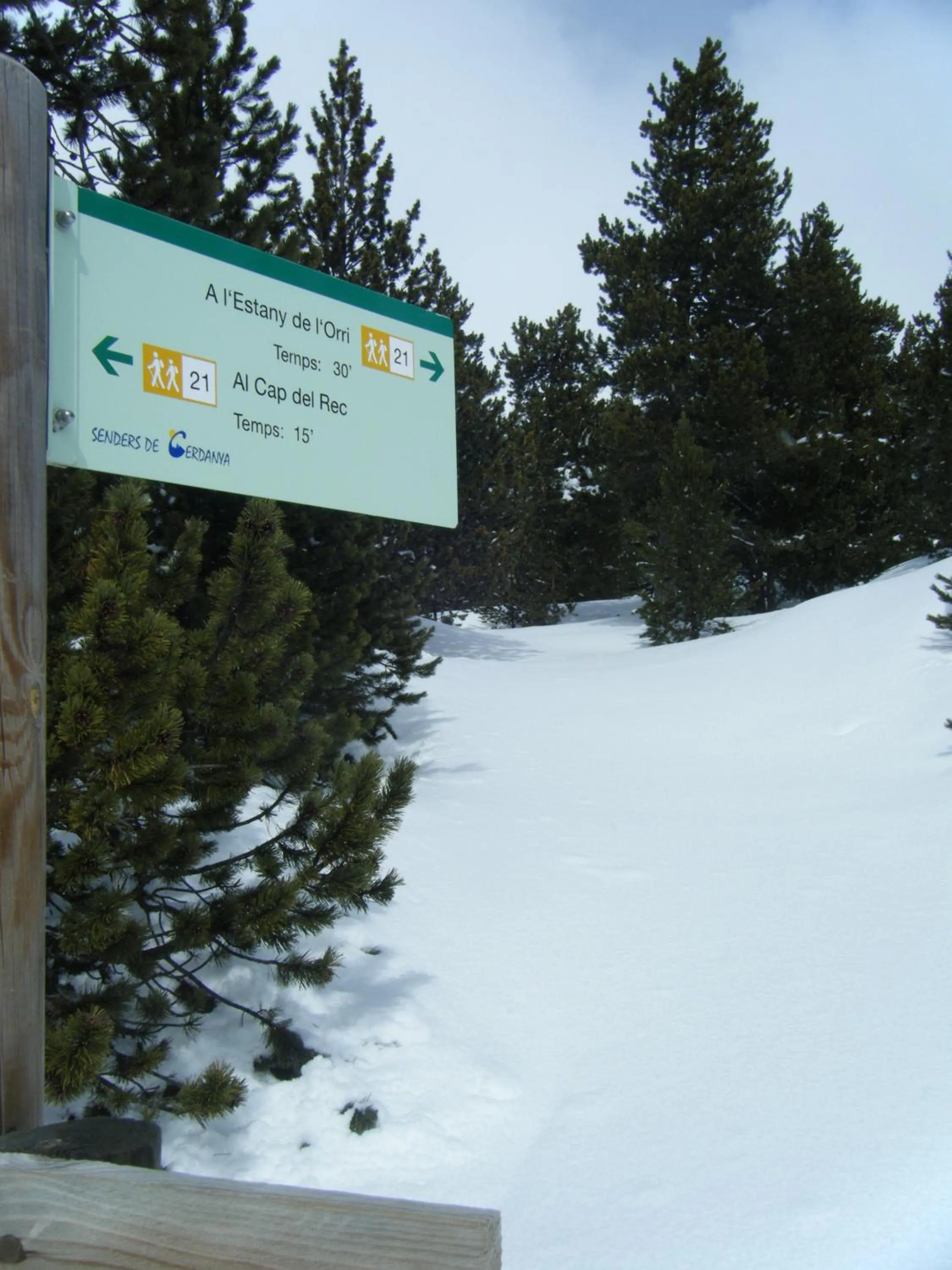 Ski School in Refugi Cap del Rec