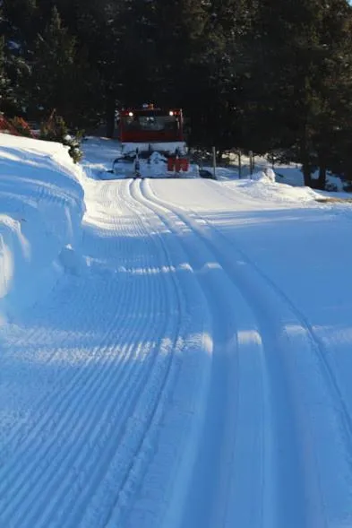 Ski School in Refugi Cap del Rec