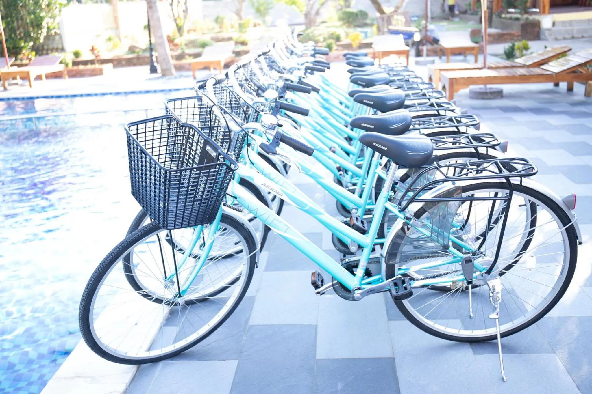 Phu Quoc Pomelo Garden