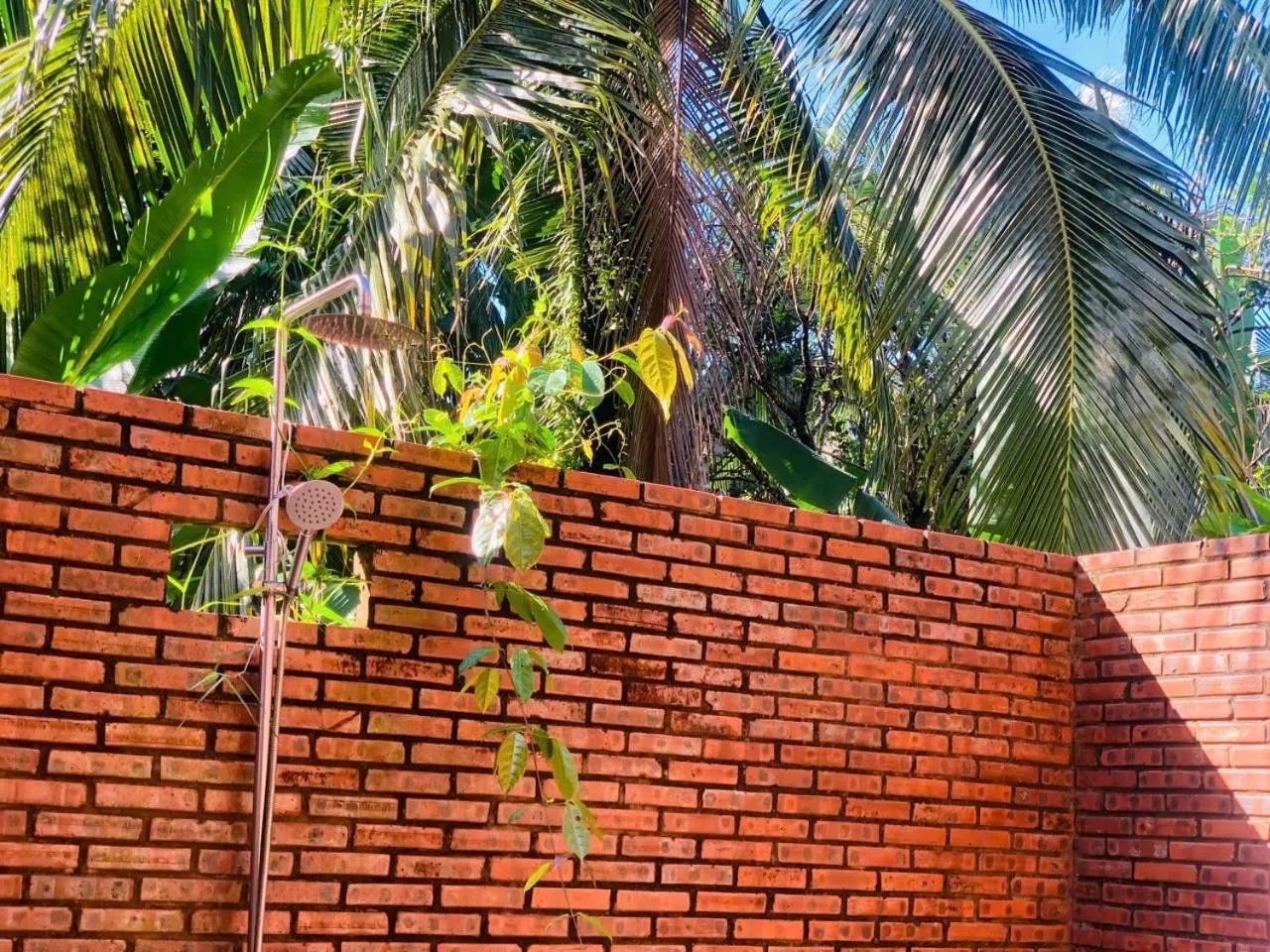 Phu Quoc Pomelo Garden