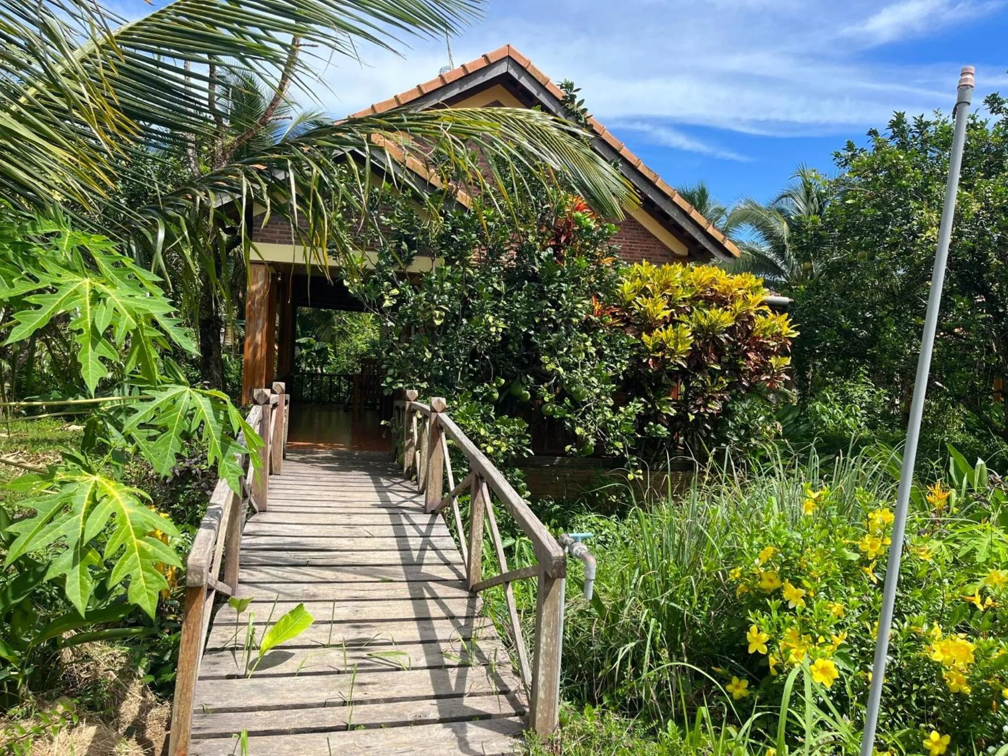 Phu Quoc Pomelo Garden