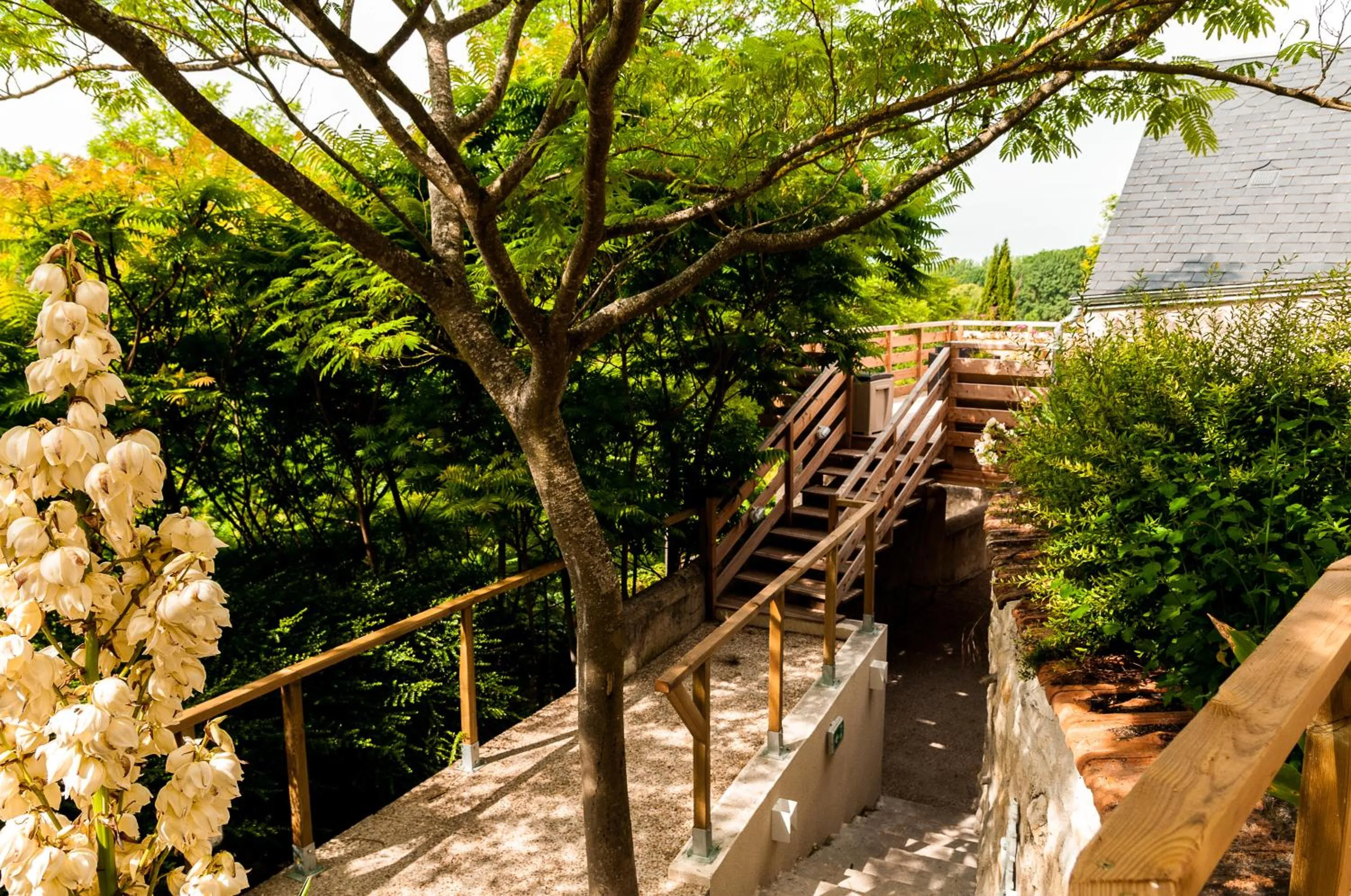 Other in Logis Hôtels Troglododo