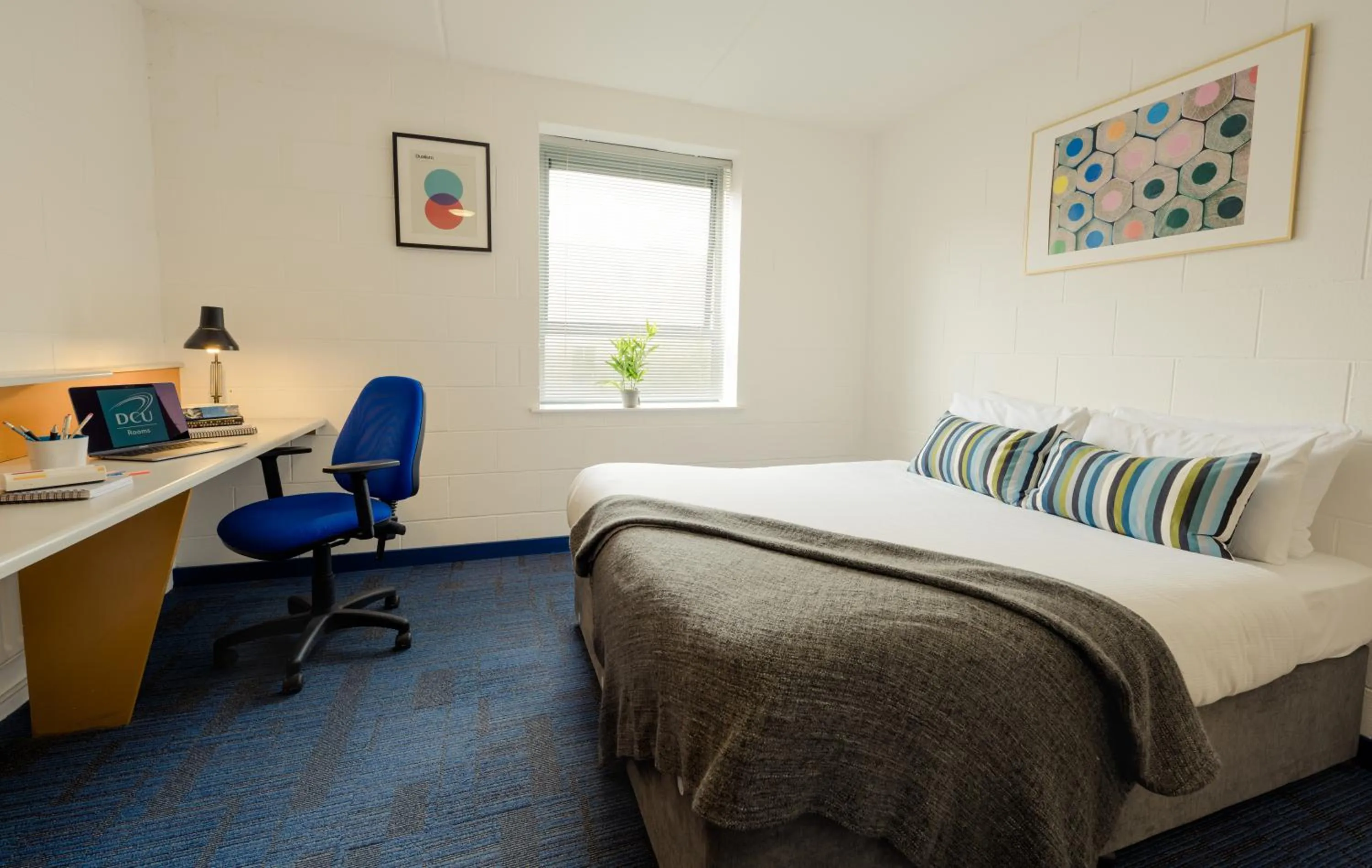 Bedroom, Bed in DCU Rooms Glasnevin - Campus Accommodation