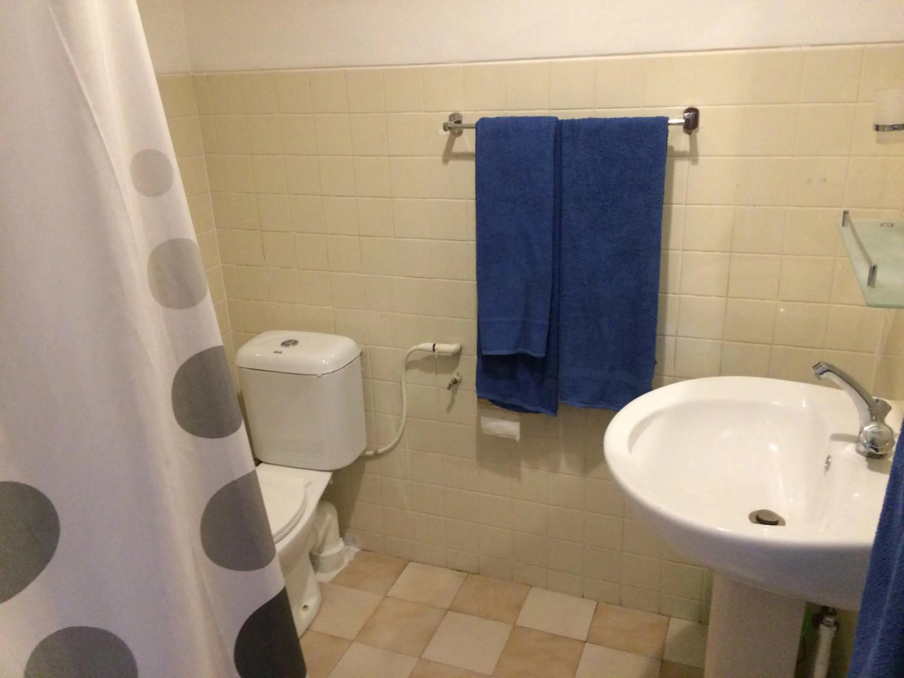 Shower in Hotel Hemadan