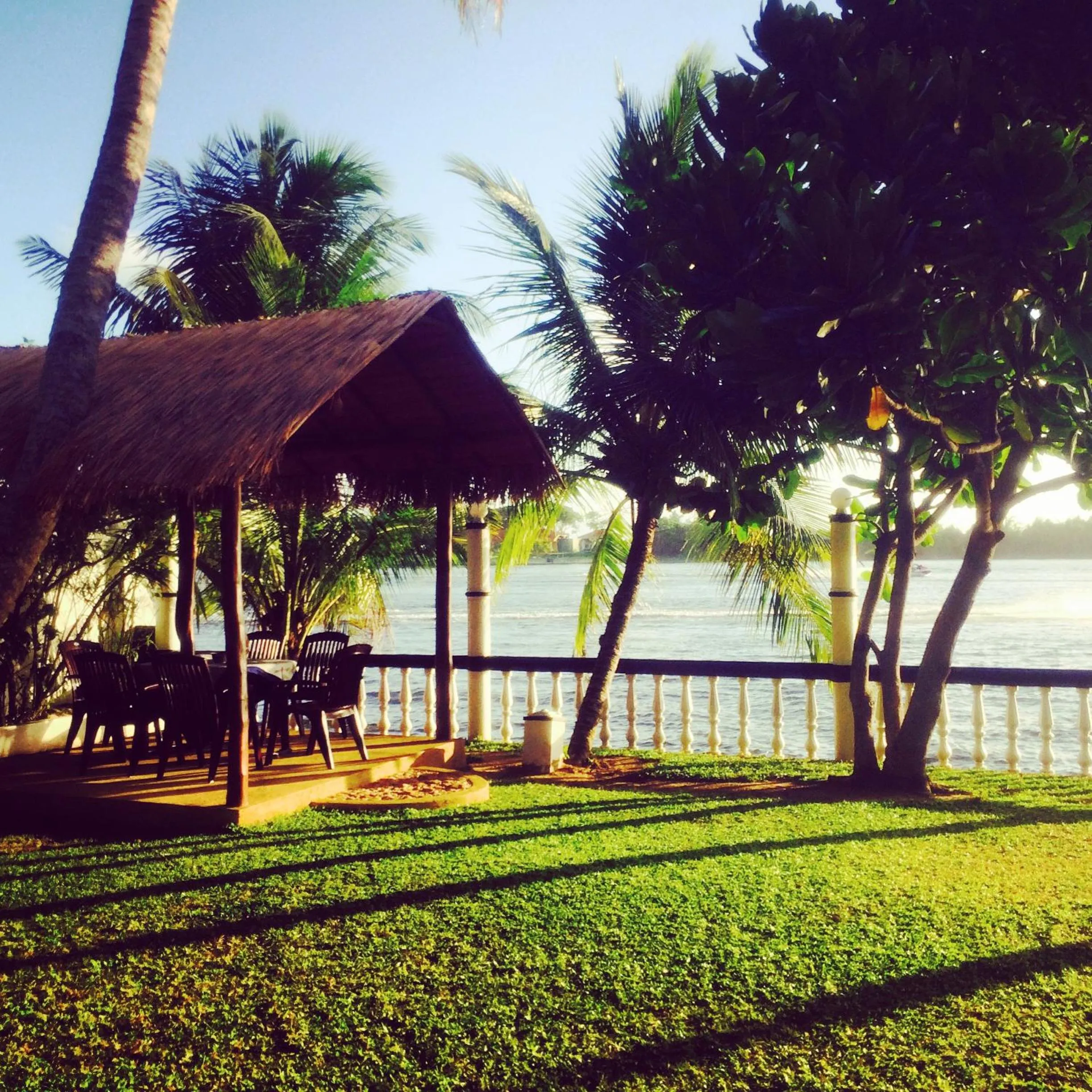 Garden in Hotel Hemadan