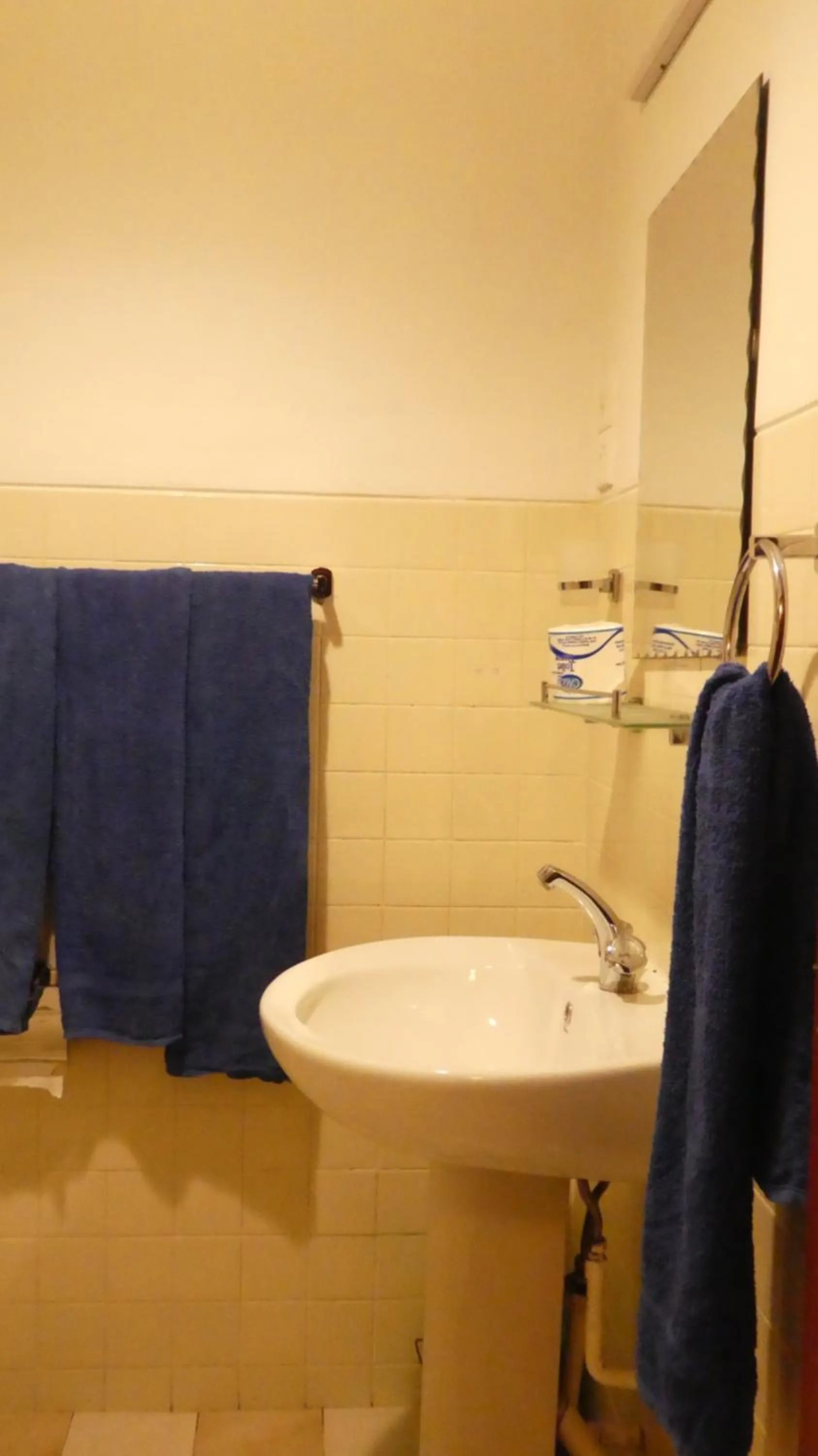 Shower in Hotel Hemadan