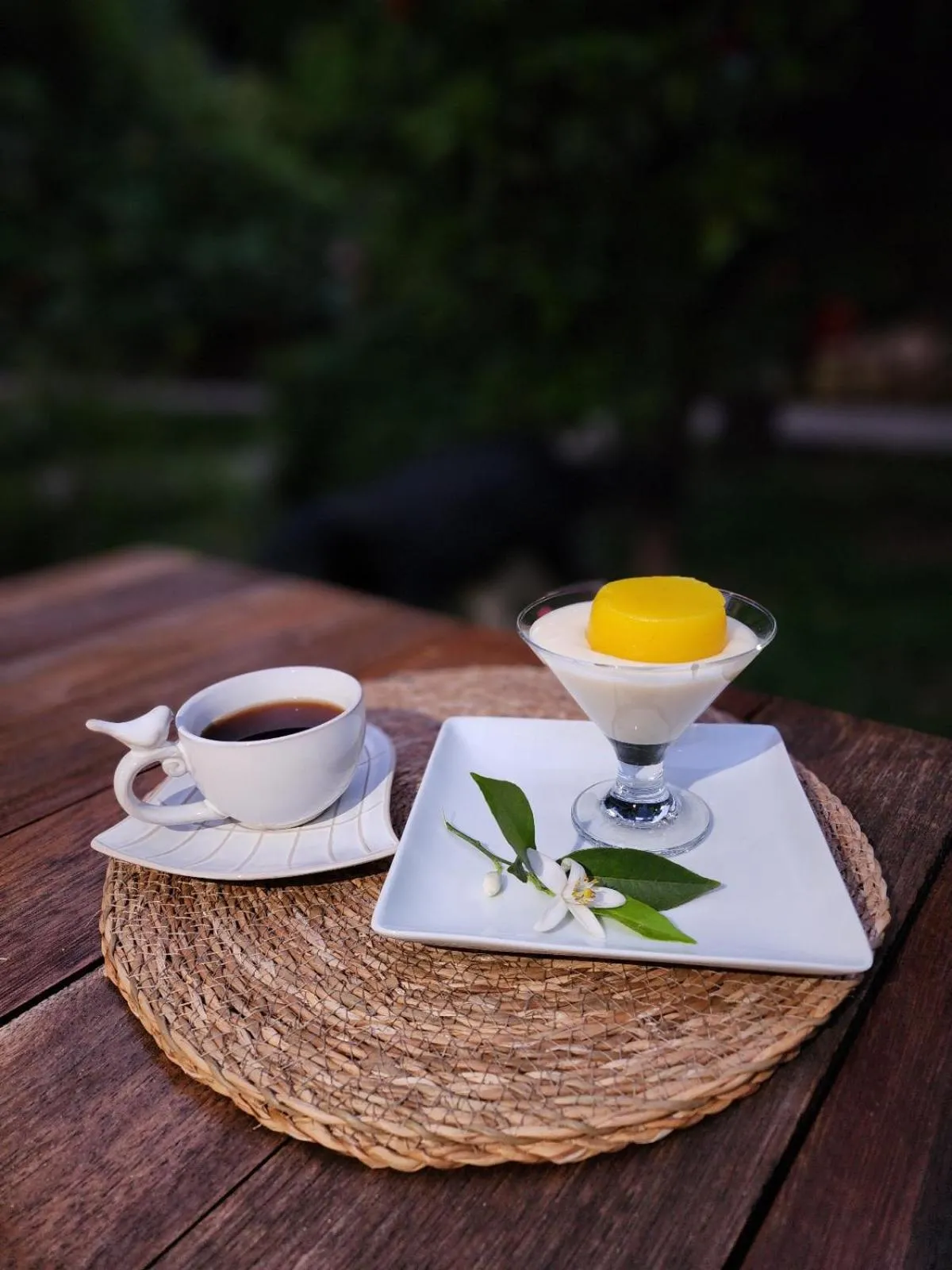 Food and drinks in Portalimo Lodge Hotel - Adult Only +12