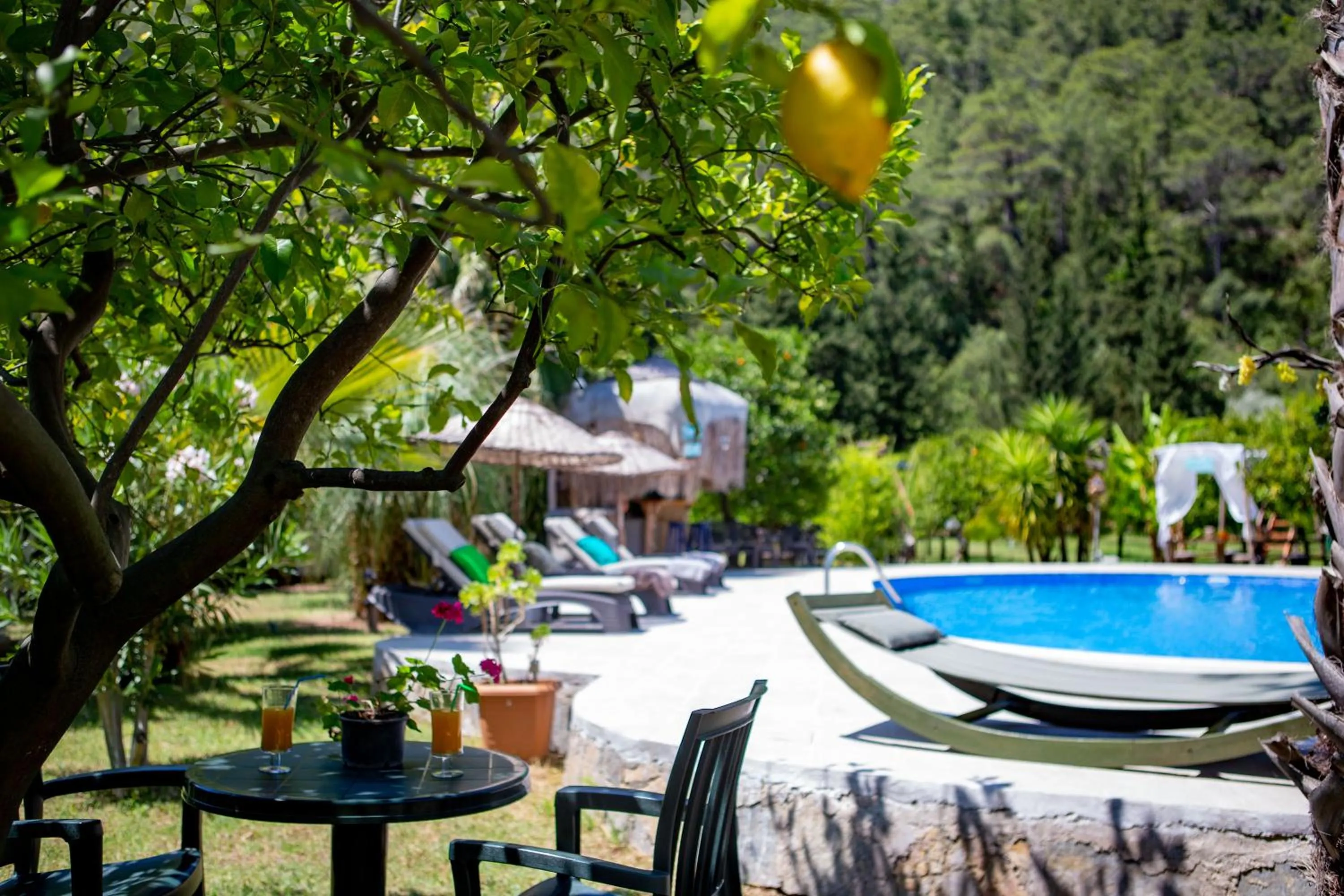 Pool view in Portalimo Lodge Hotel - Adult Only +12
