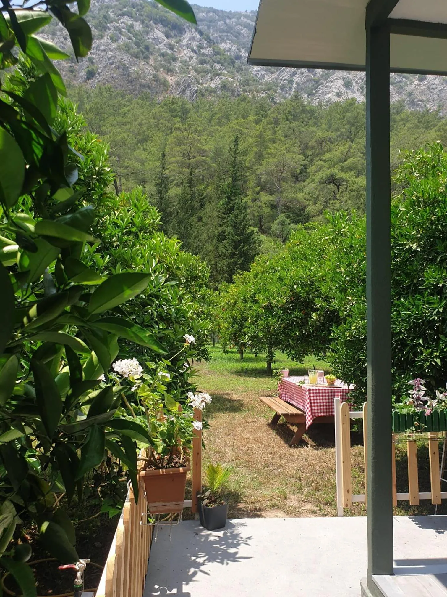 Patio in Portalimo Lodge Hotel - Adult Only +12