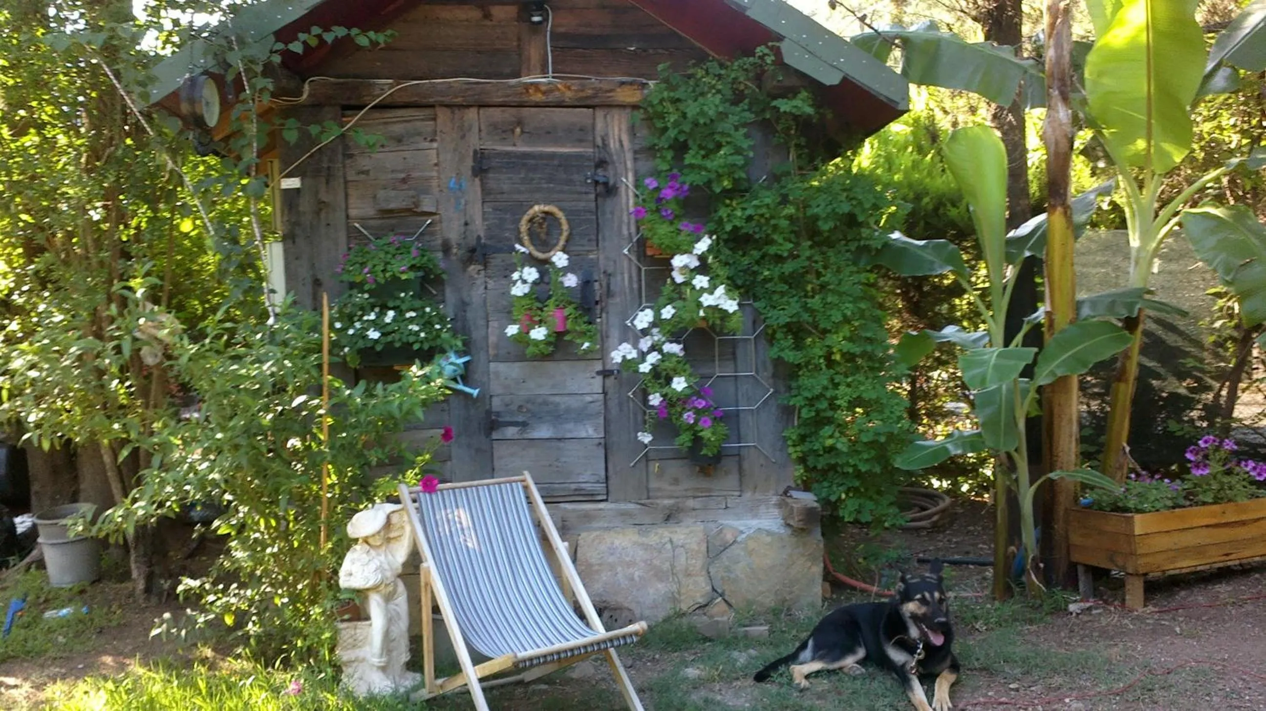 Patio in Portalimo Lodge Hotel - Adult Only +12