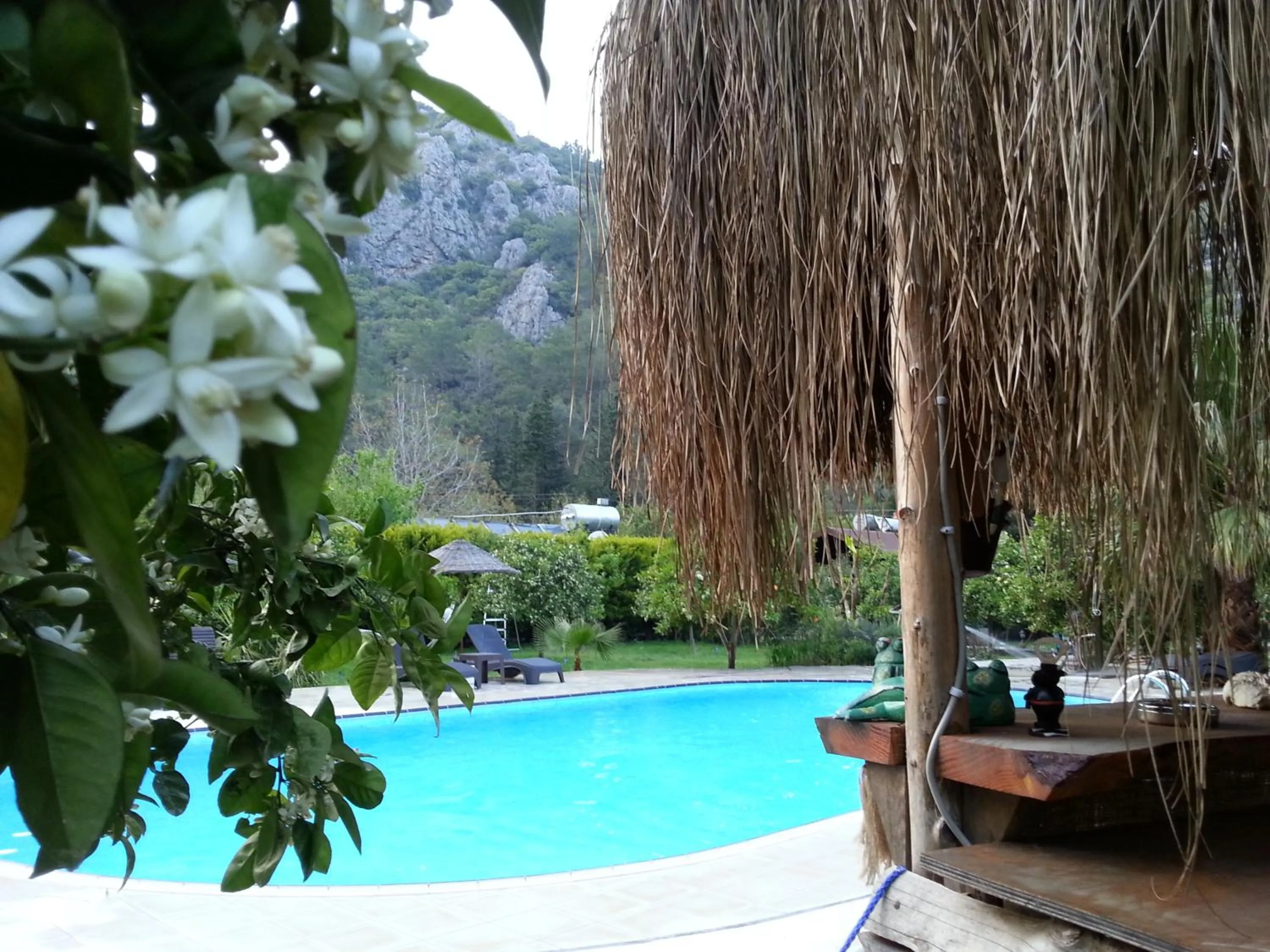 Day in Portalimo Lodge Hotel - Adult Only +12