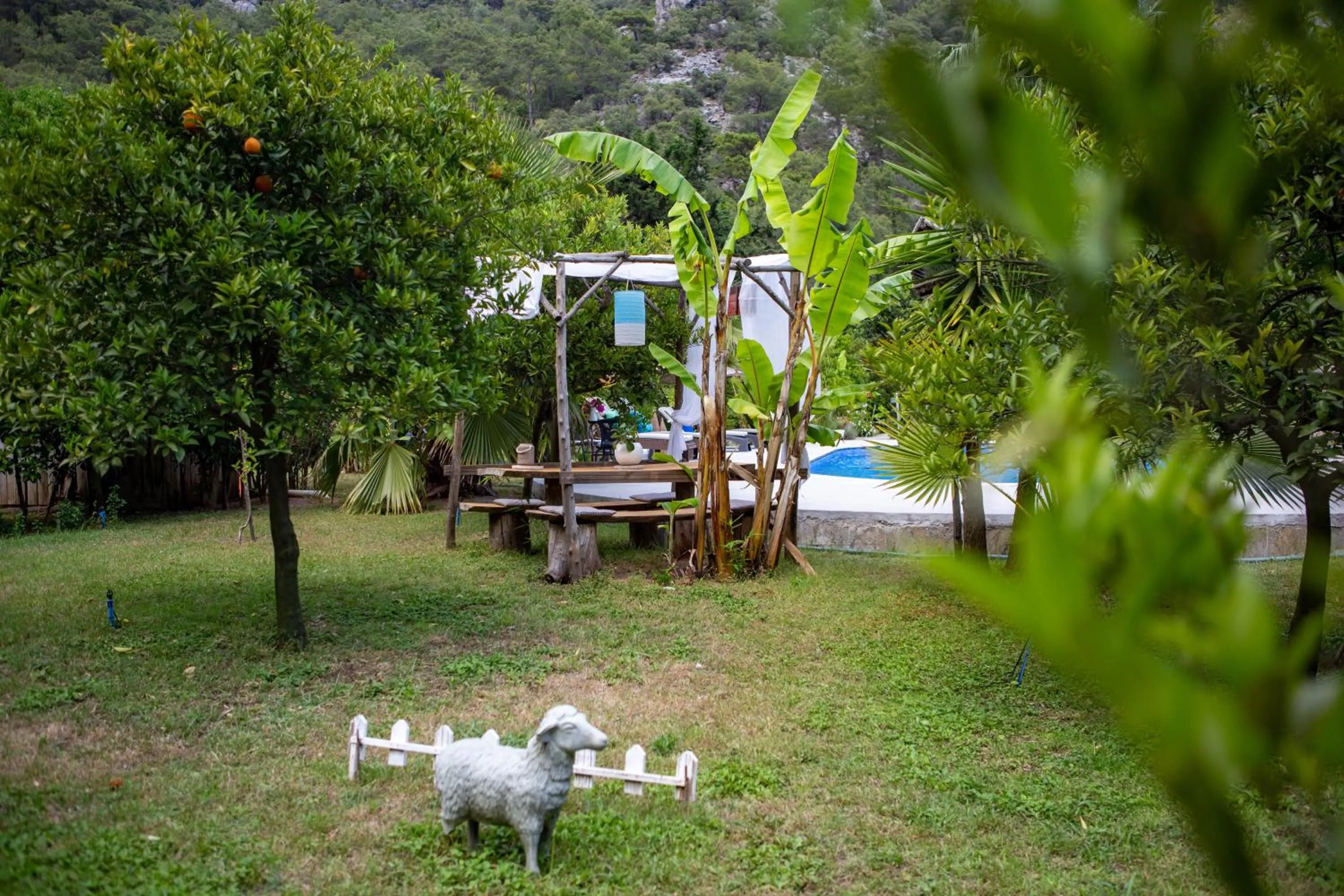 Garden in Portalimo Lodge Hotel - Adult Only +12