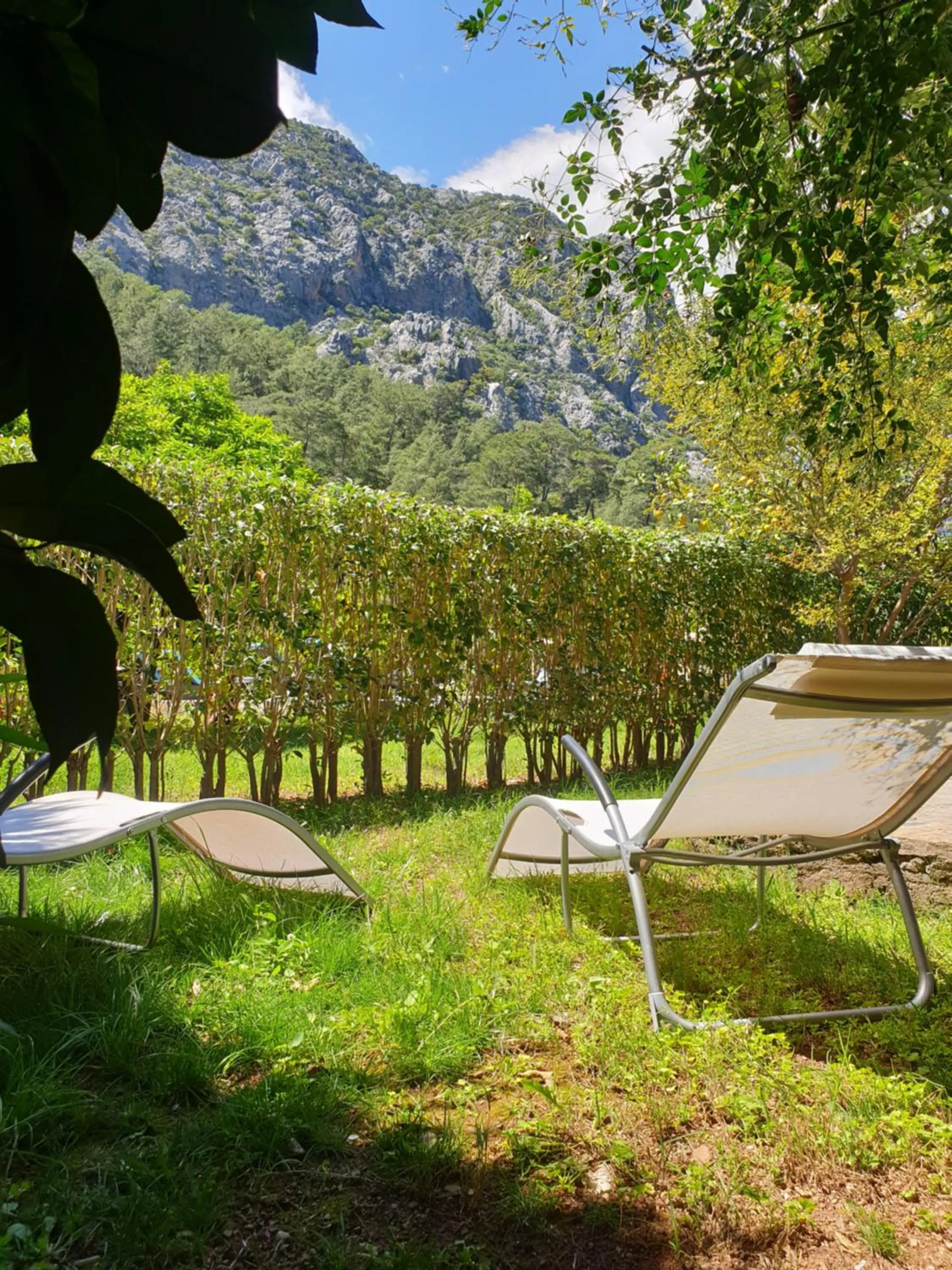 Garden view in Portalimo Lodge Hotel - Adult Only +12