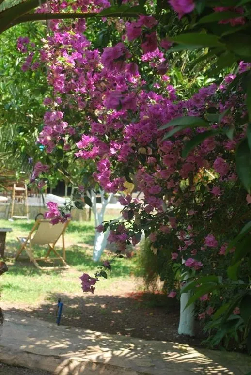Spring in Portalimo Lodge Hotel - Adult Only +12