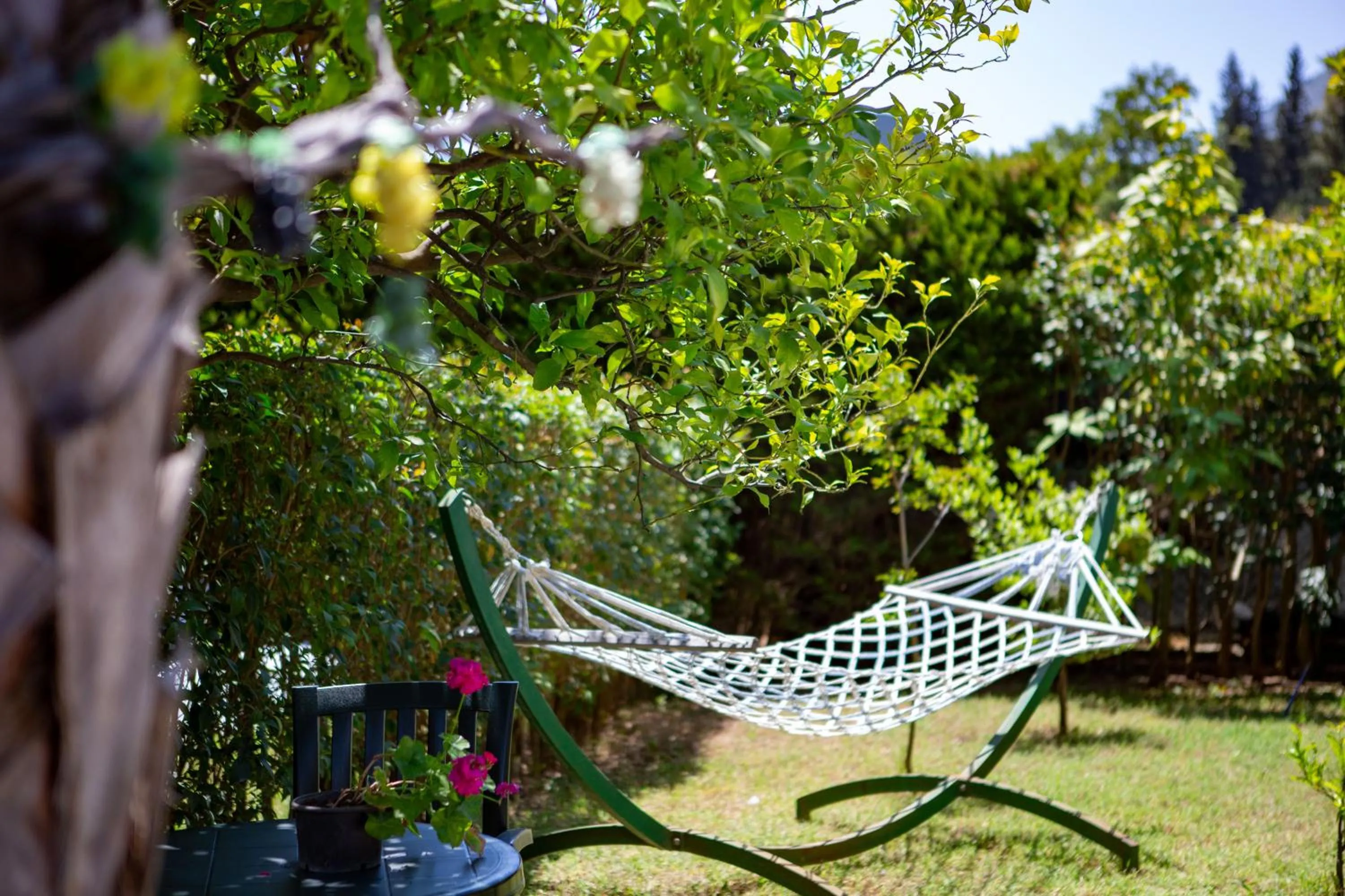 Natural landscape in Portalimo Lodge Hotel - Adult Only +12