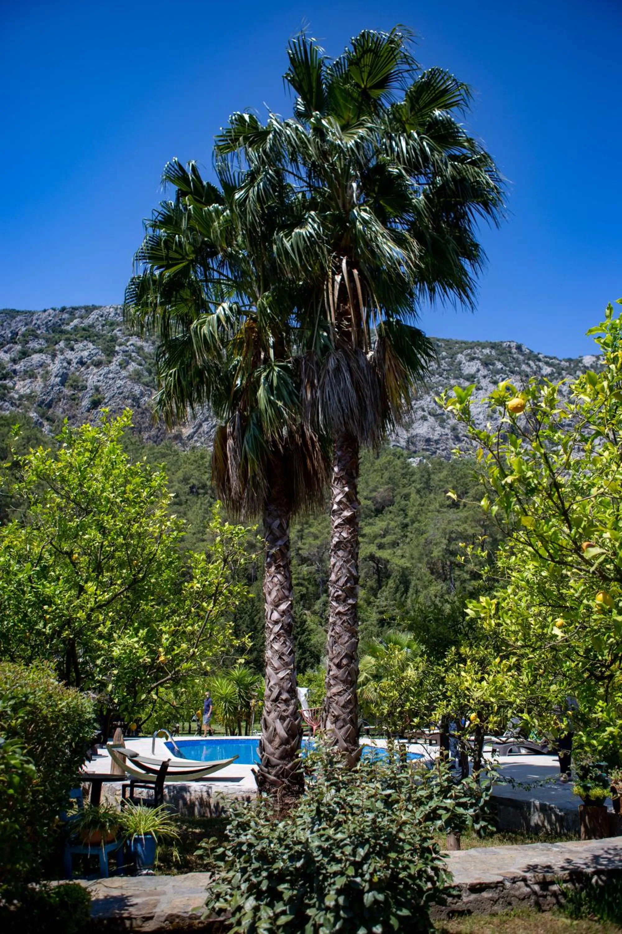 Garden in Portalimo Lodge Hotel - Adult Only +12
