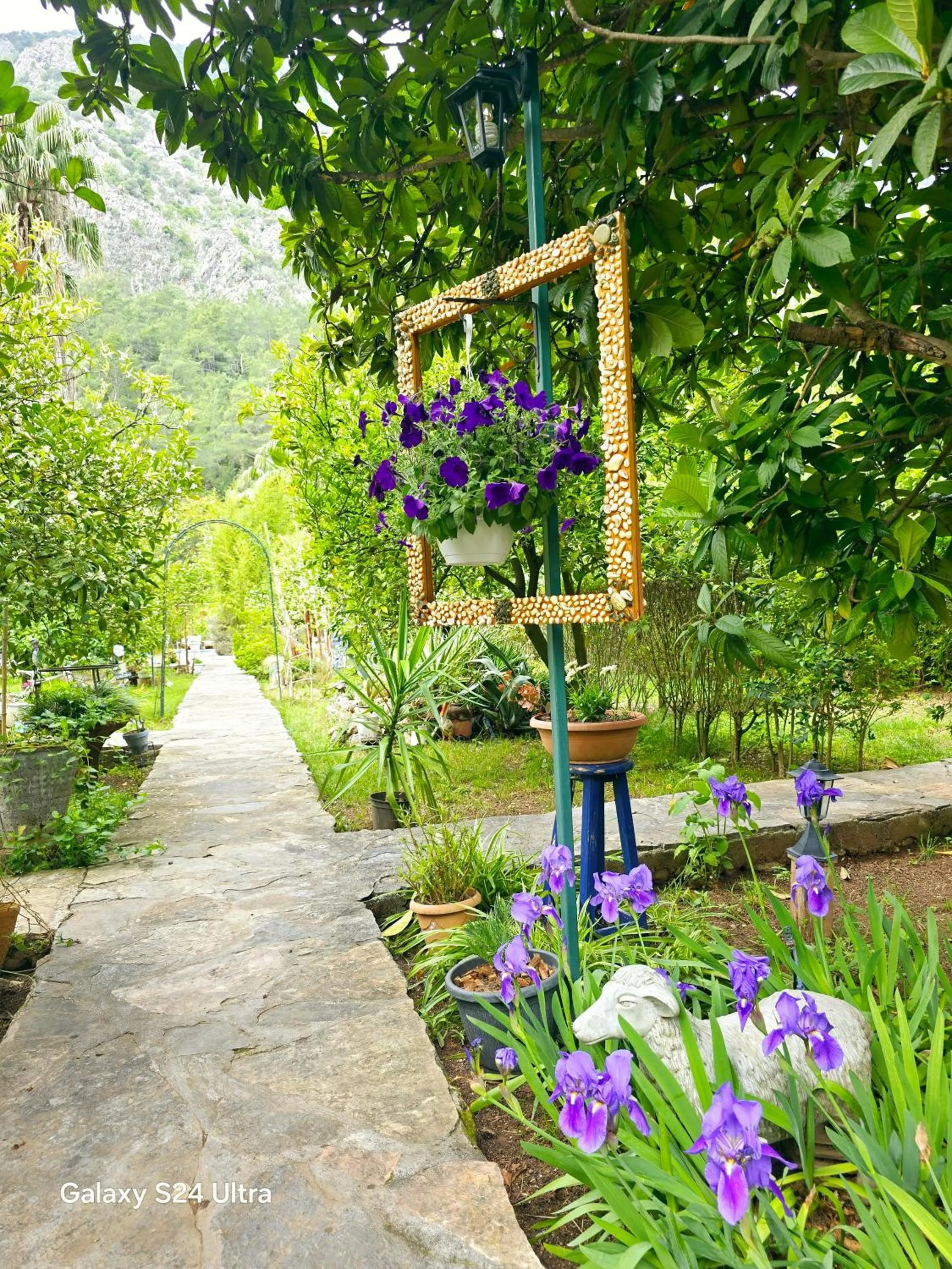 Spring in Portalimo Lodge Hotel - Adult Only +12