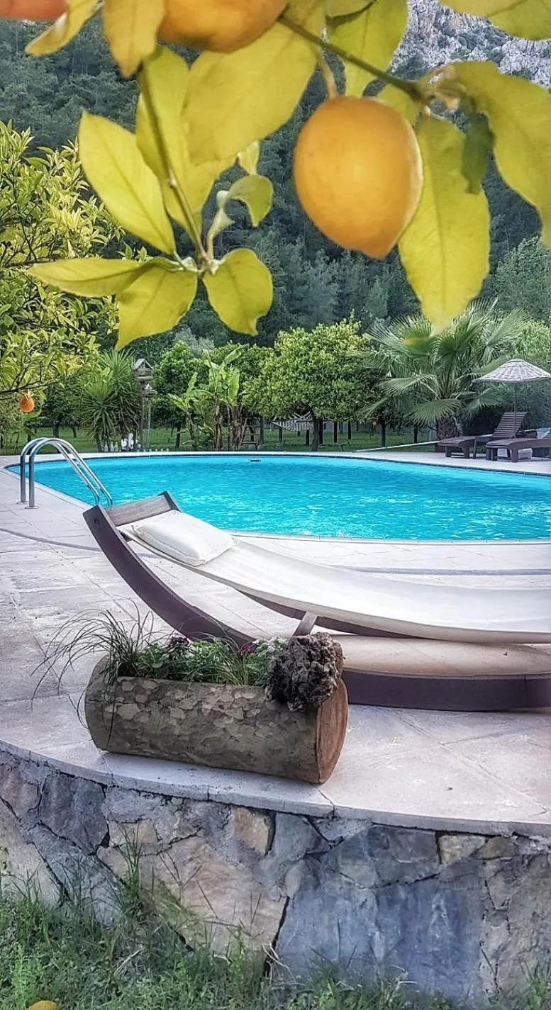 Garden in Portalimo Lodge Hotel - Adult Only +12