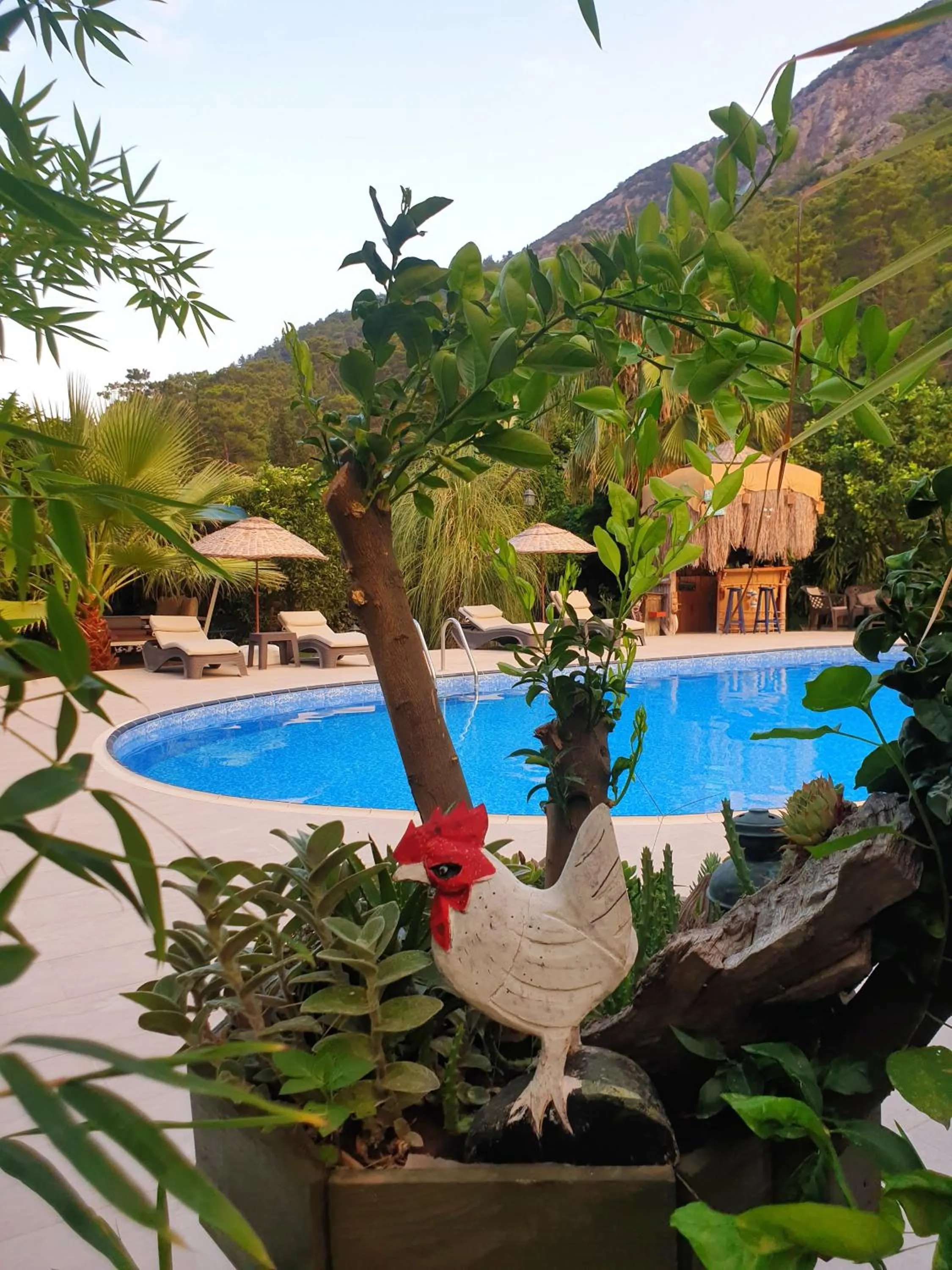 Garden view in Portalimo Lodge Hotel - Adult Only +12