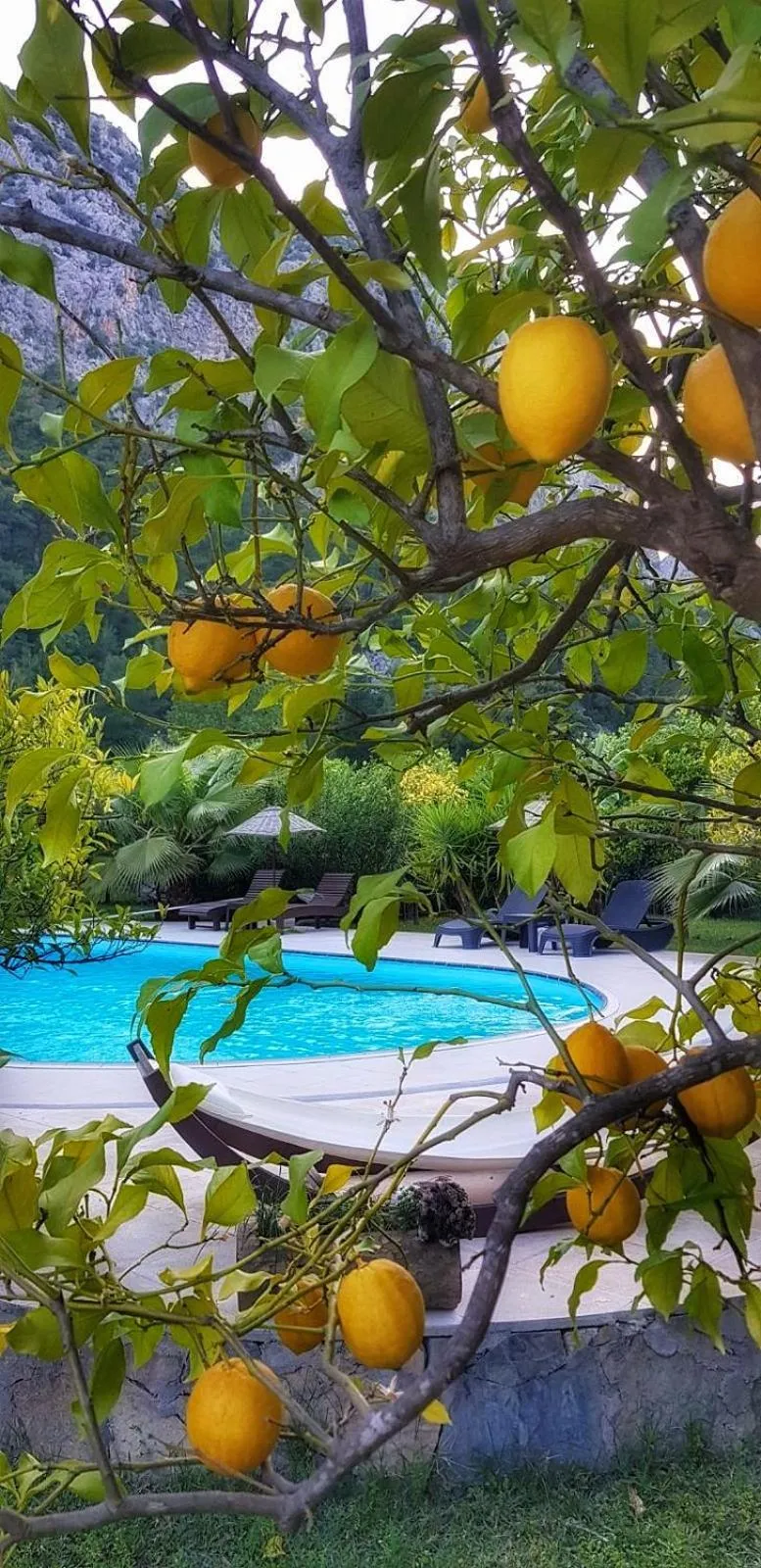 Spring in Portalimo Lodge Hotel - Adult Only +12