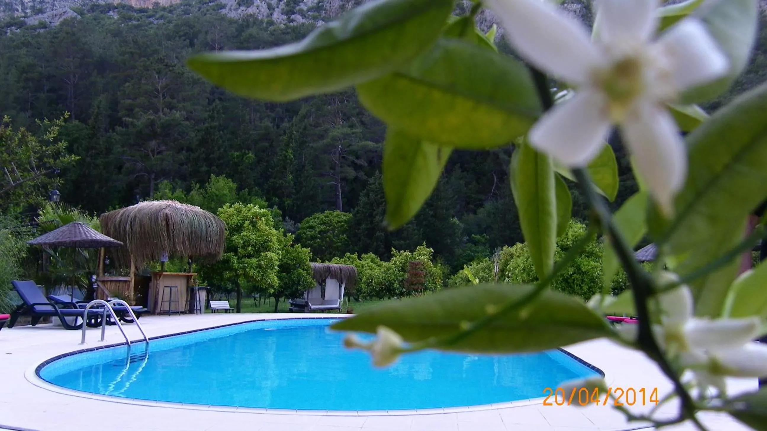 Day in Portalimo Lodge Hotel - Adult Only +12