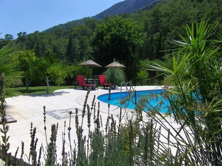 Swimming pool in Portalimo Lodge Hotel - Adult Only +12