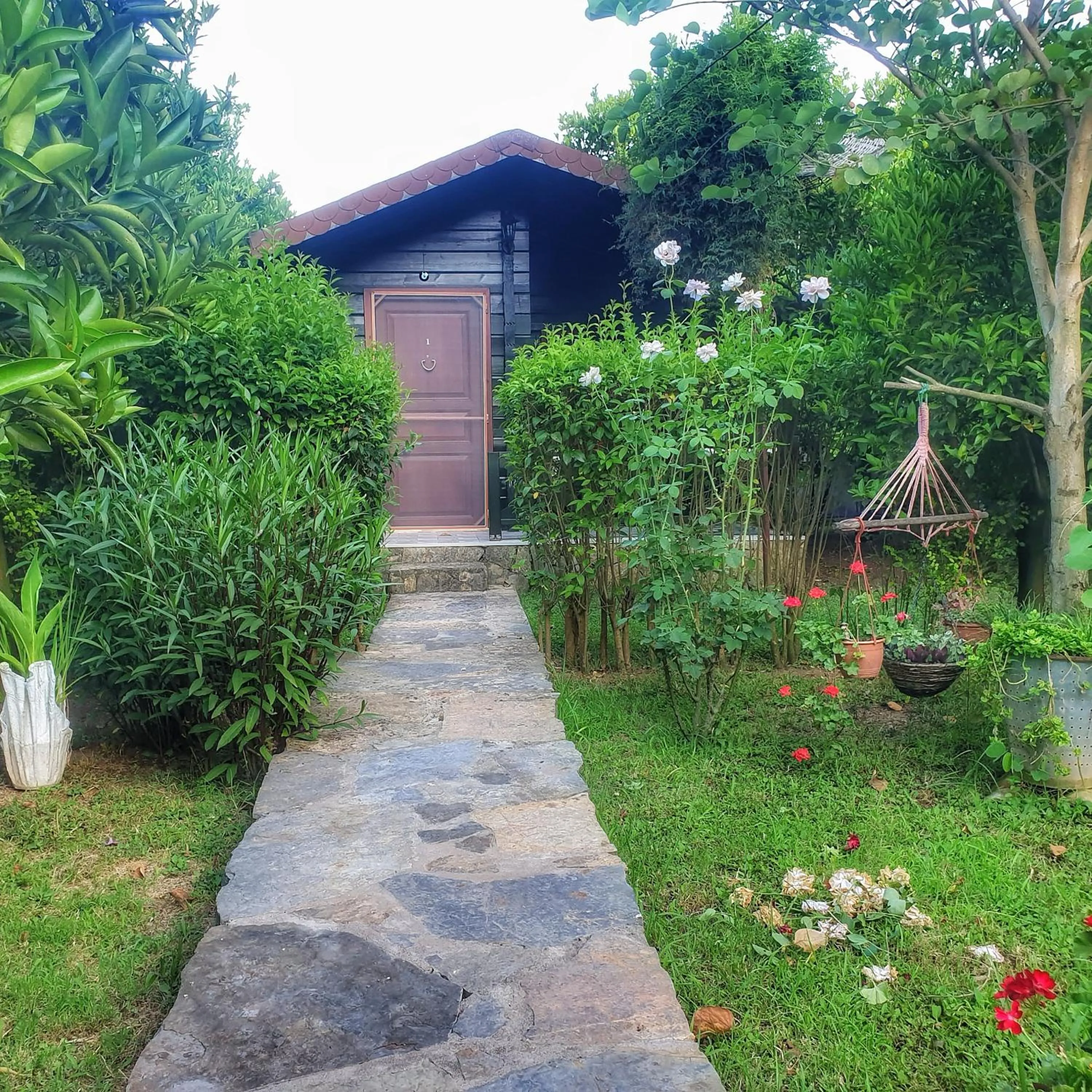Garden in Portalimo Lodge Hotel - Adult Only +12