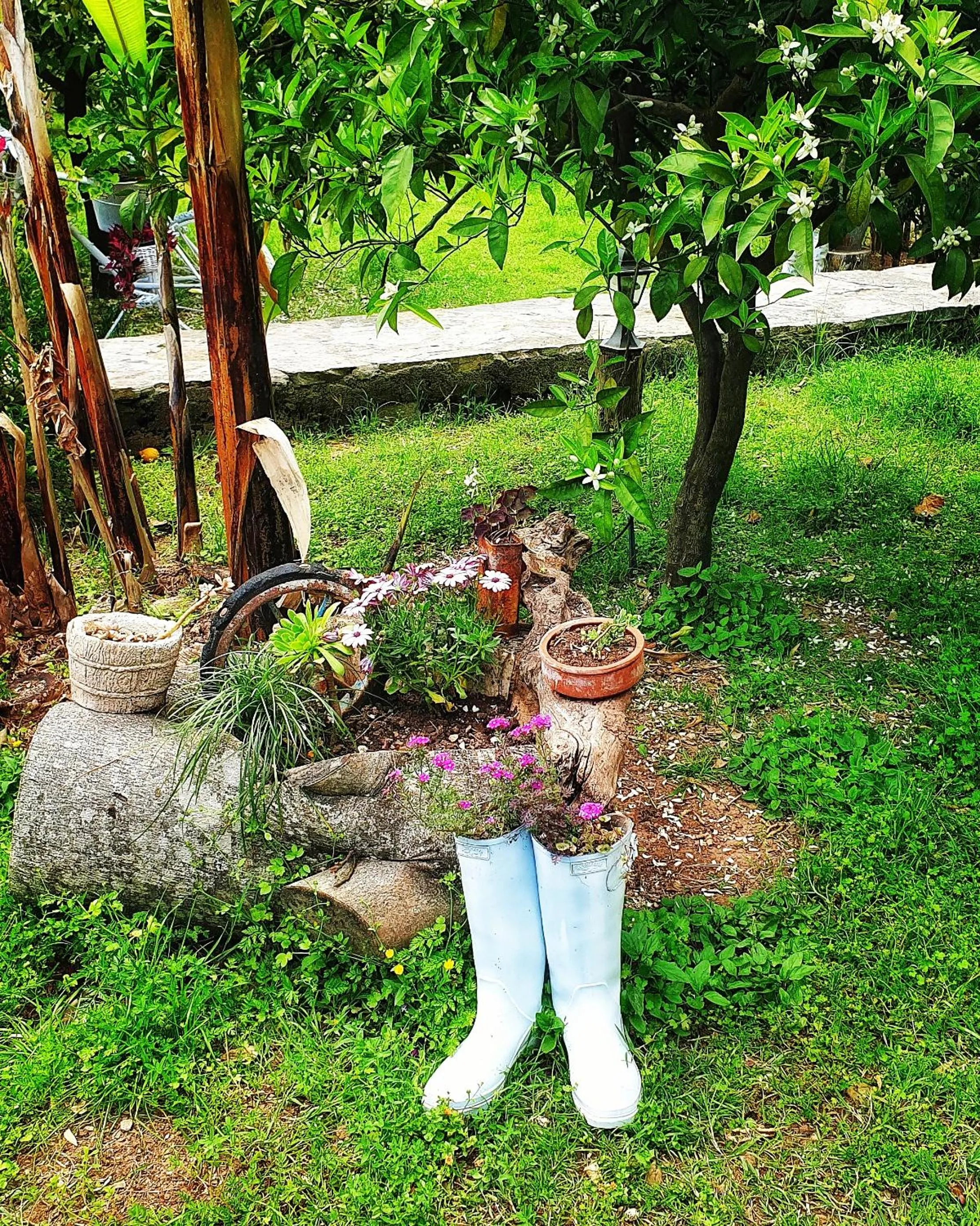 Portalimo Lodge Hotel - Adult Only +12