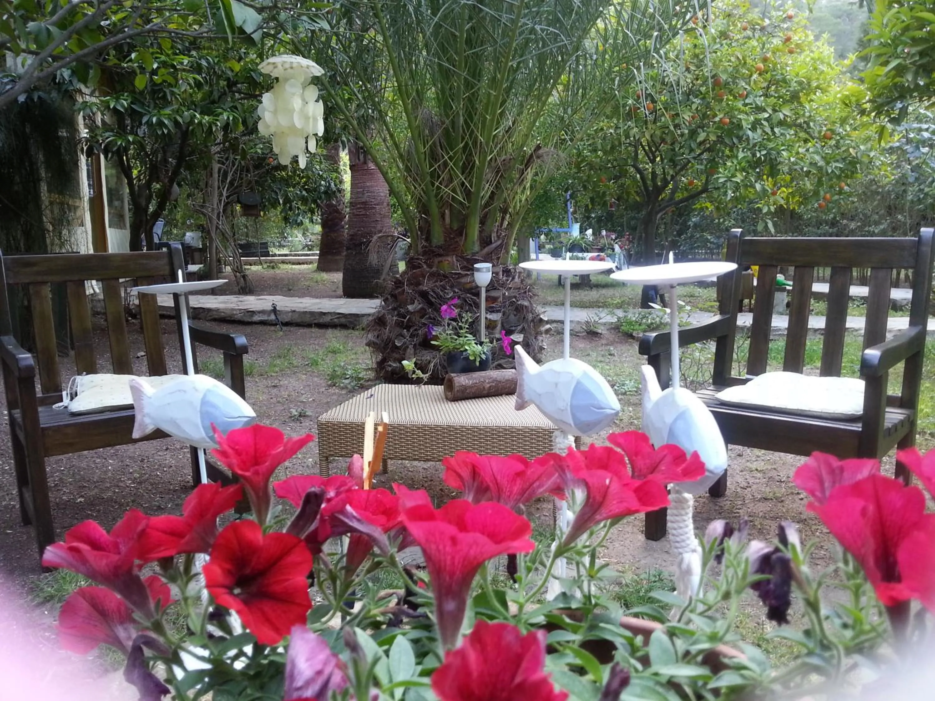Patio in Portalimo Lodge Hotel - Adult Only +12