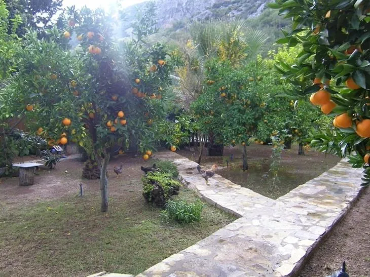 Garden in Portalimo Lodge Hotel - Adult Only +12