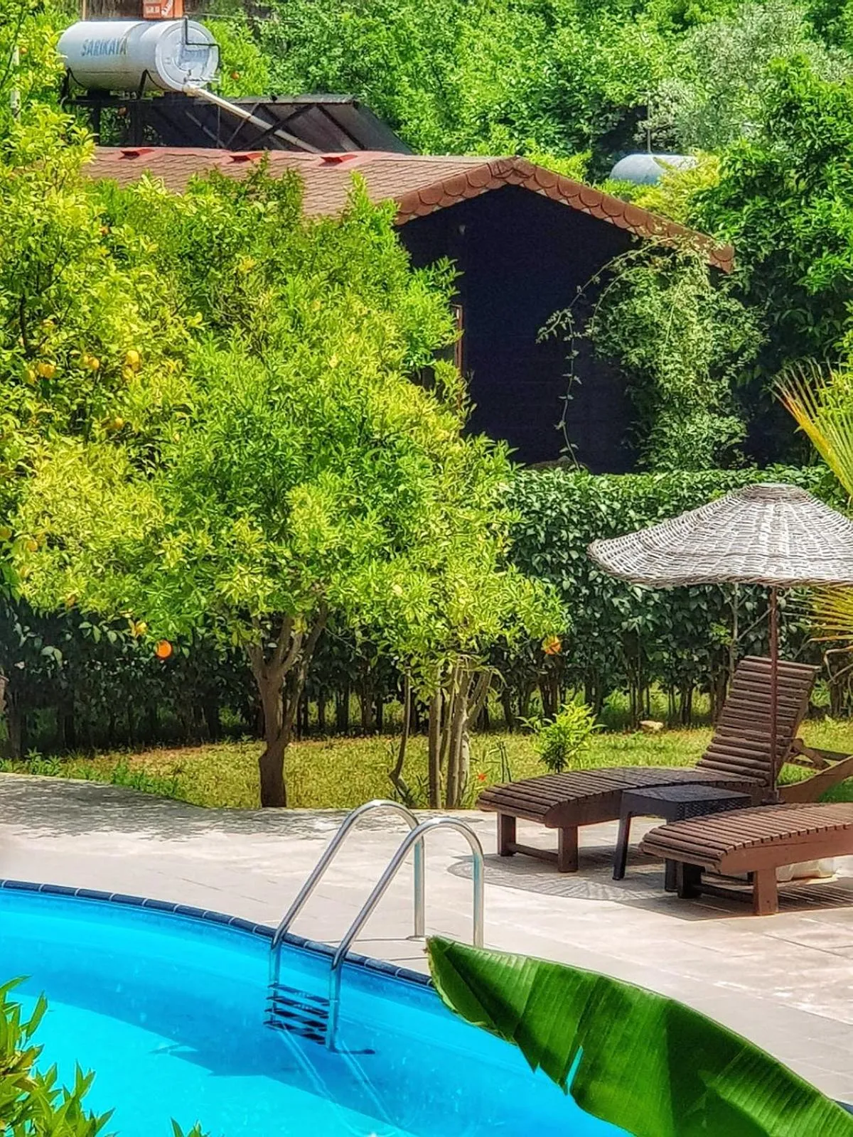 Other in Portalimo Lodge Hotel - Adult Only +12
