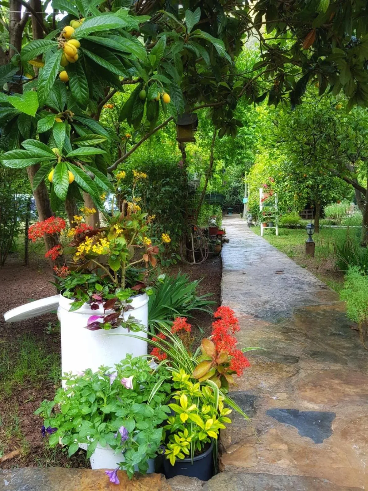 Other in Portalimo Lodge Hotel - Adult Only +12