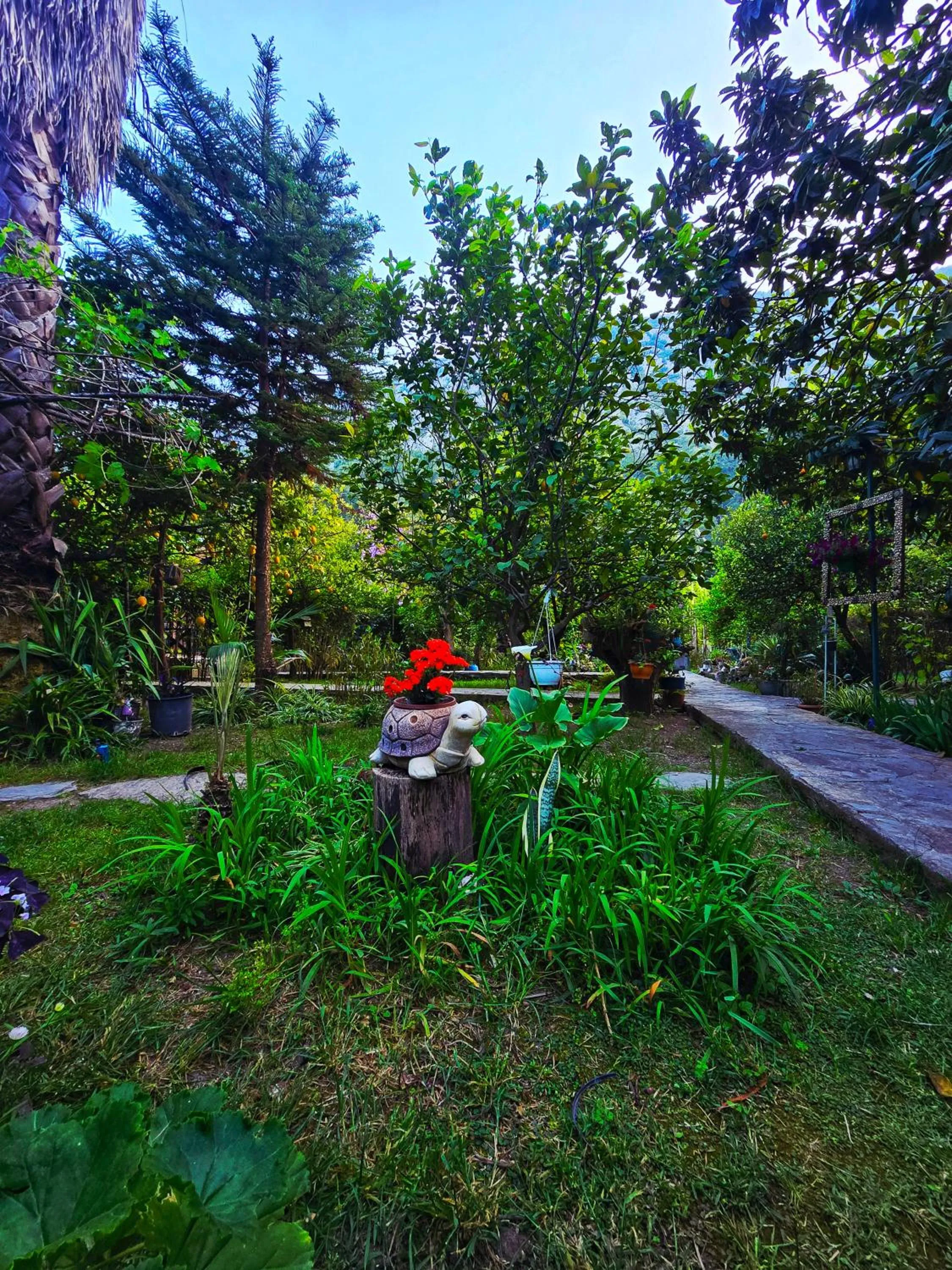 Natural landscape in Portalimo Lodge Hotel - Adult Only +12