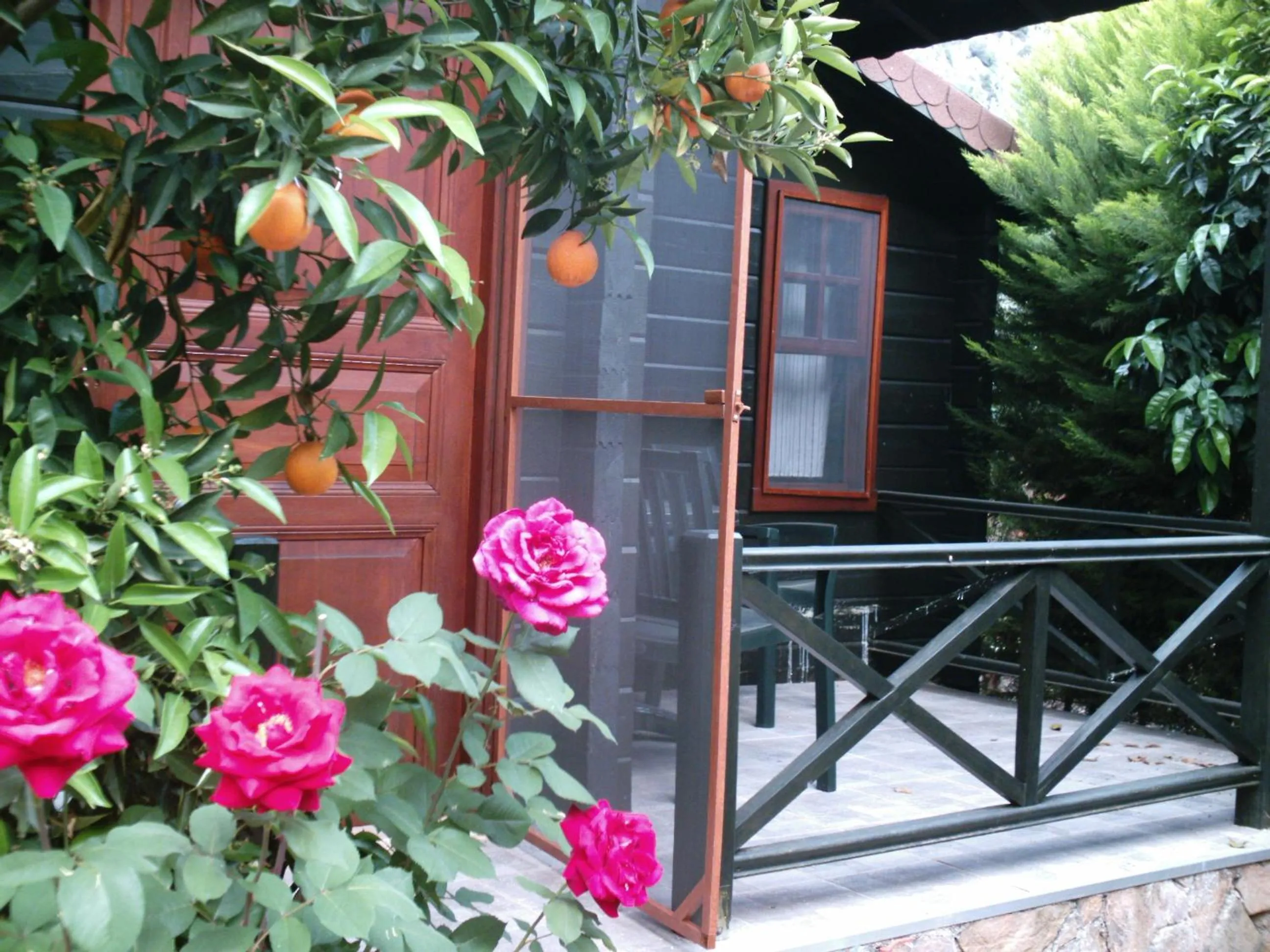Facade/entrance in Portalimo Lodge Hotel - Adult Only +12