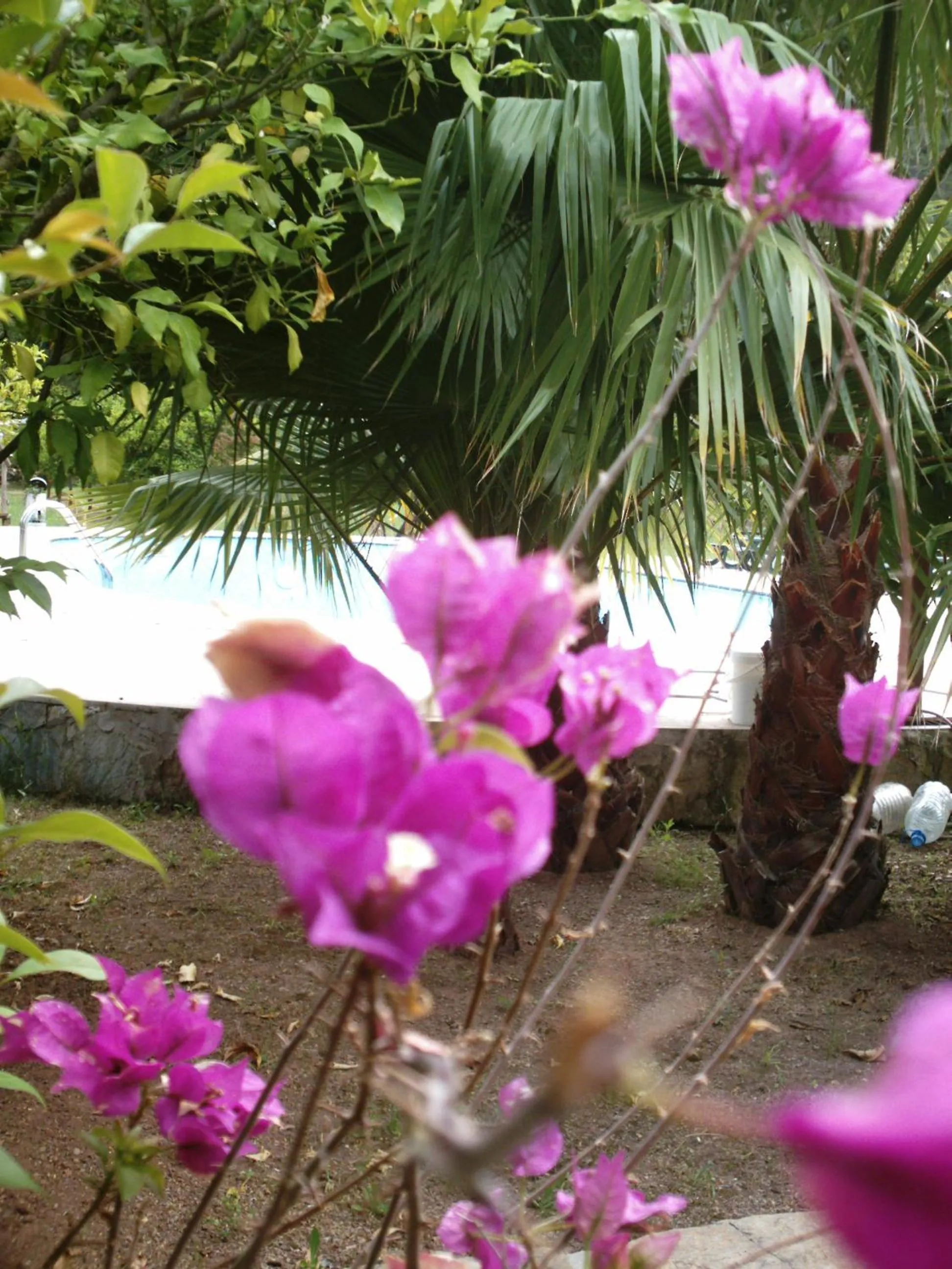 Spring in Portalimo Lodge Hotel - Adult Only +12