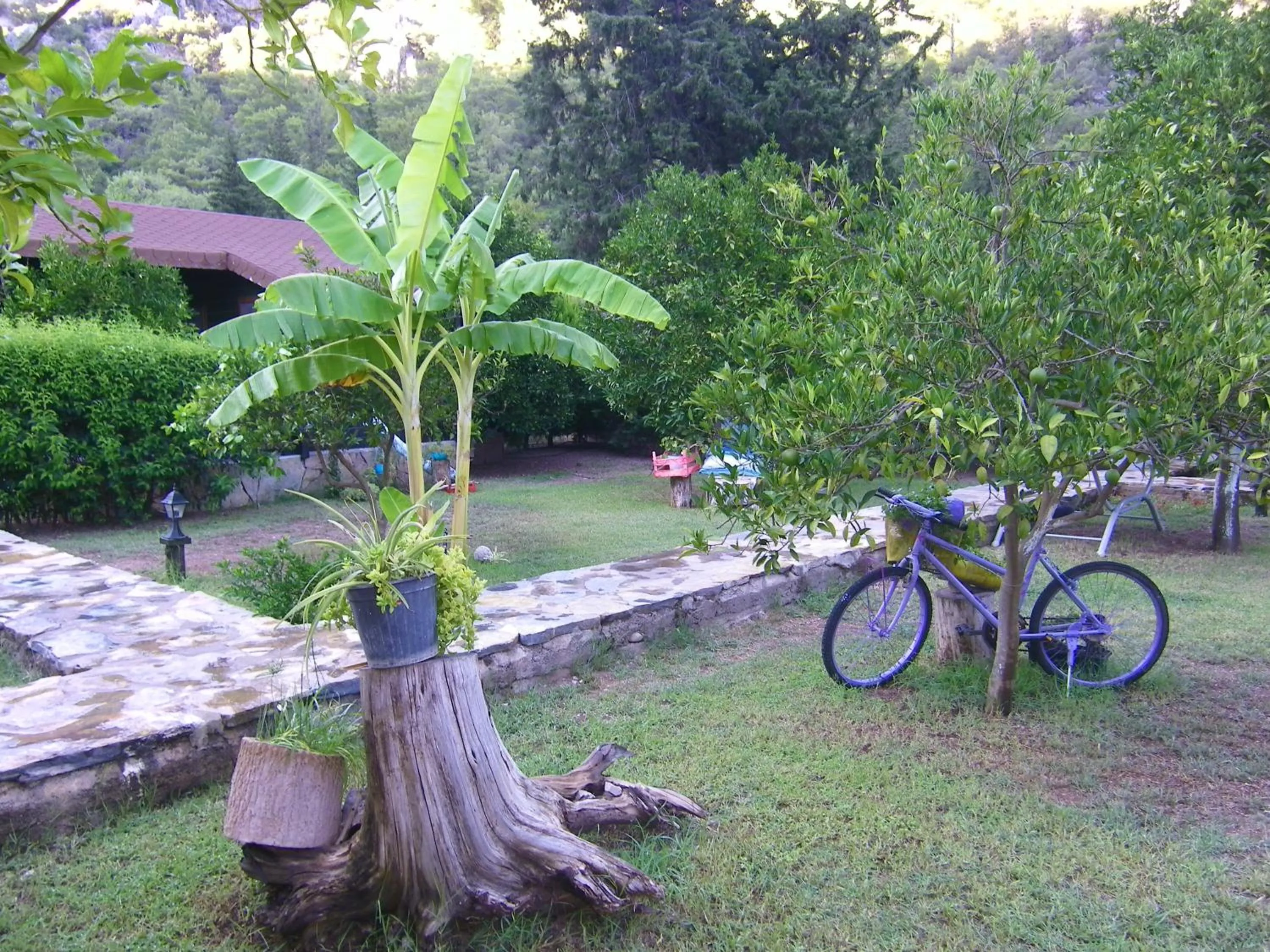 Day in Portalimo Lodge Hotel - Adult Only +12