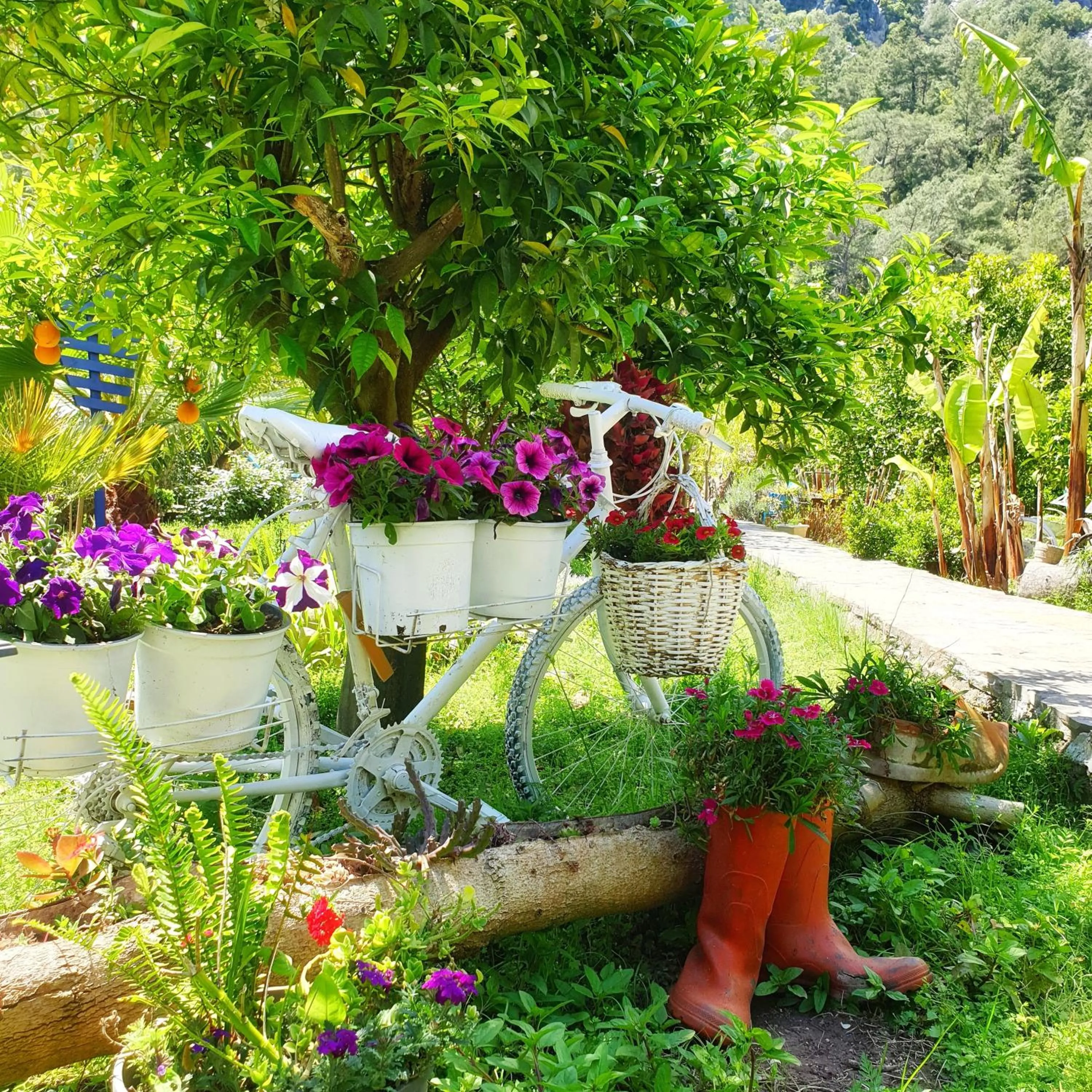Other in Portalimo Lodge Hotel - Adult Only +12