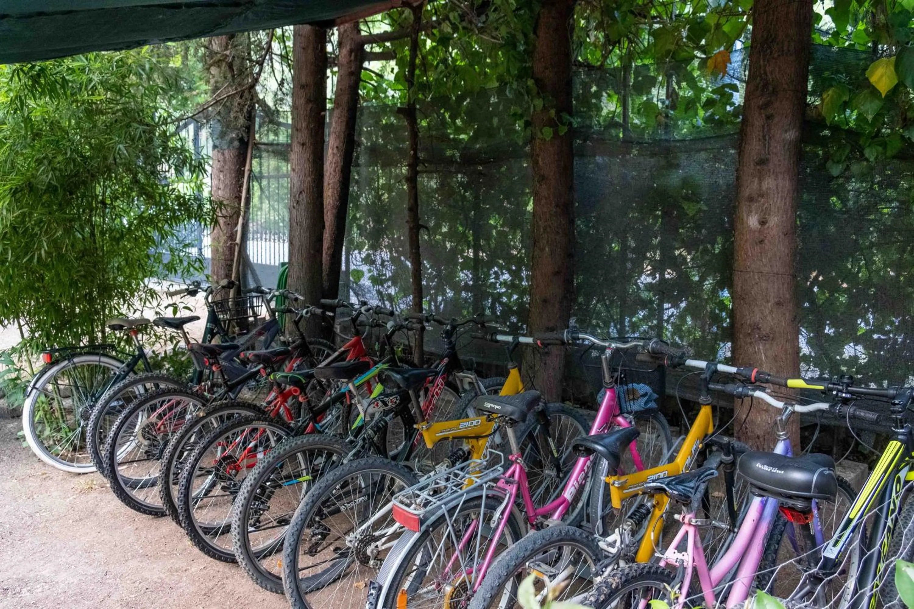 Activities in Portalimo Lodge Hotel - Adult Only +12