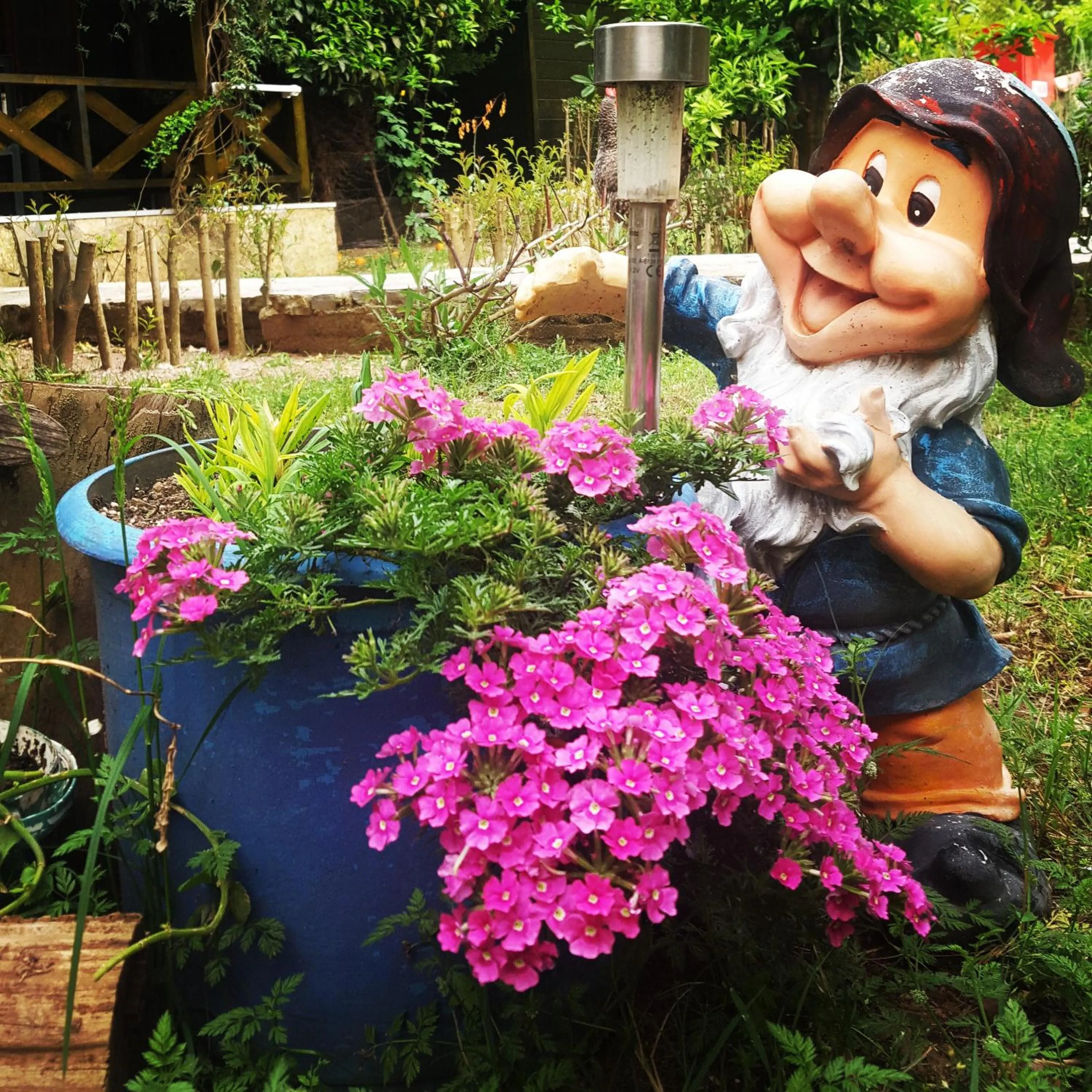 Garden in Portalimo Lodge Hotel - Adult Only +12