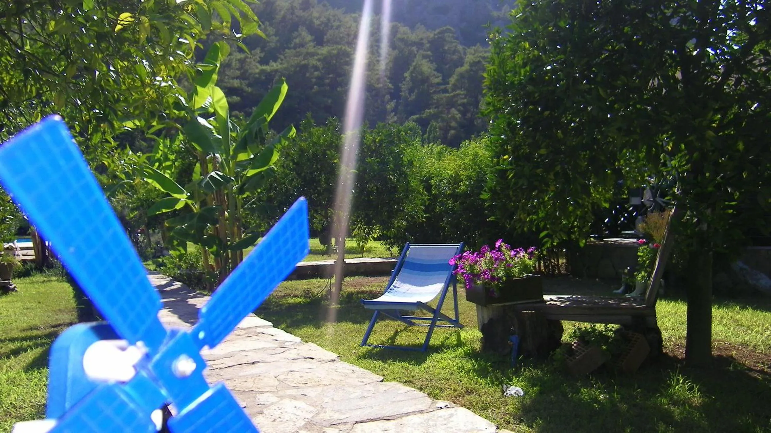 Patio in Portalimo Lodge Hotel - Adult Only +12