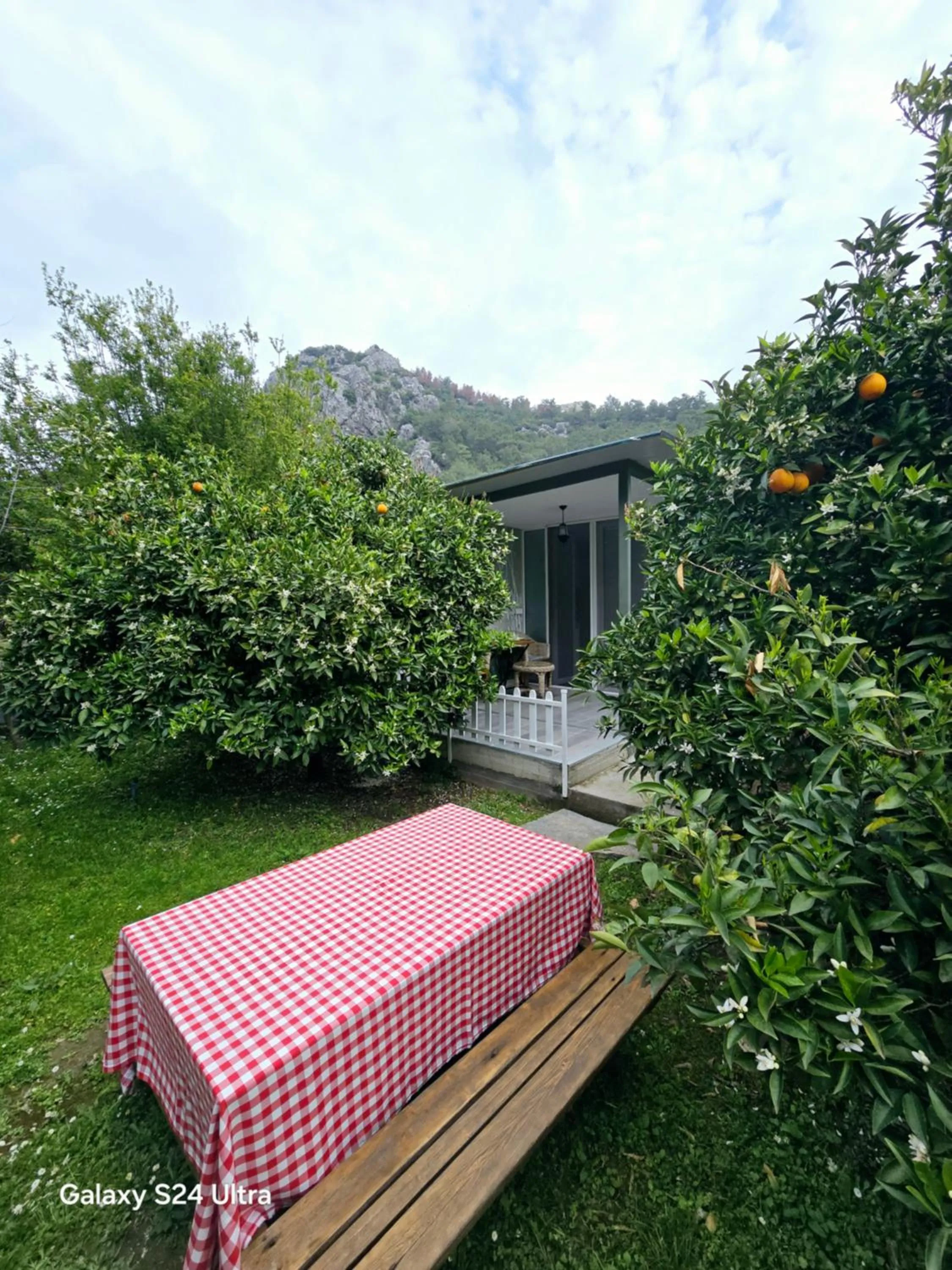 Spring in Portalimo Lodge Hotel - Adult Only +12