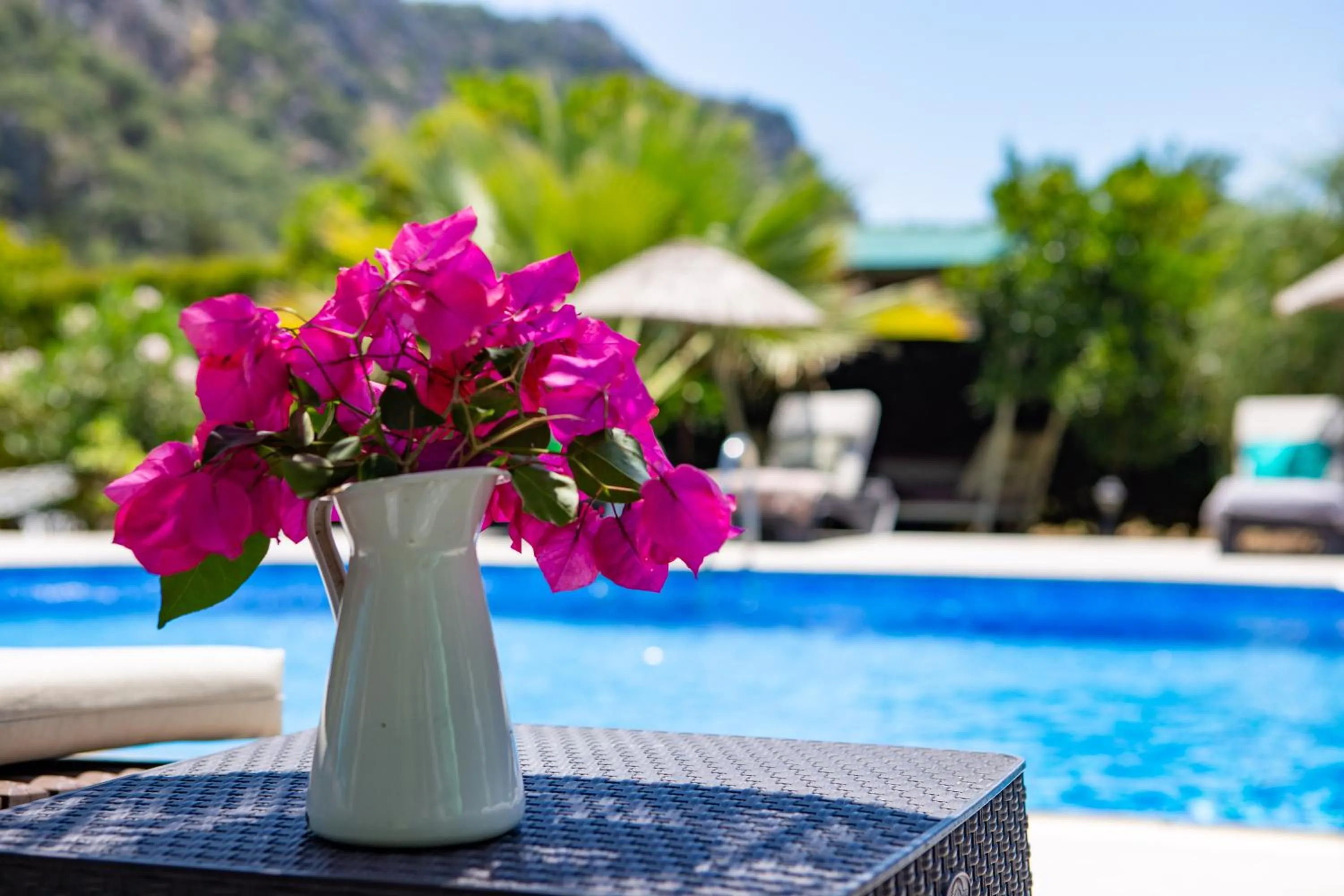 Swimming pool in Portalimo Lodge Hotel - Adult Only +12