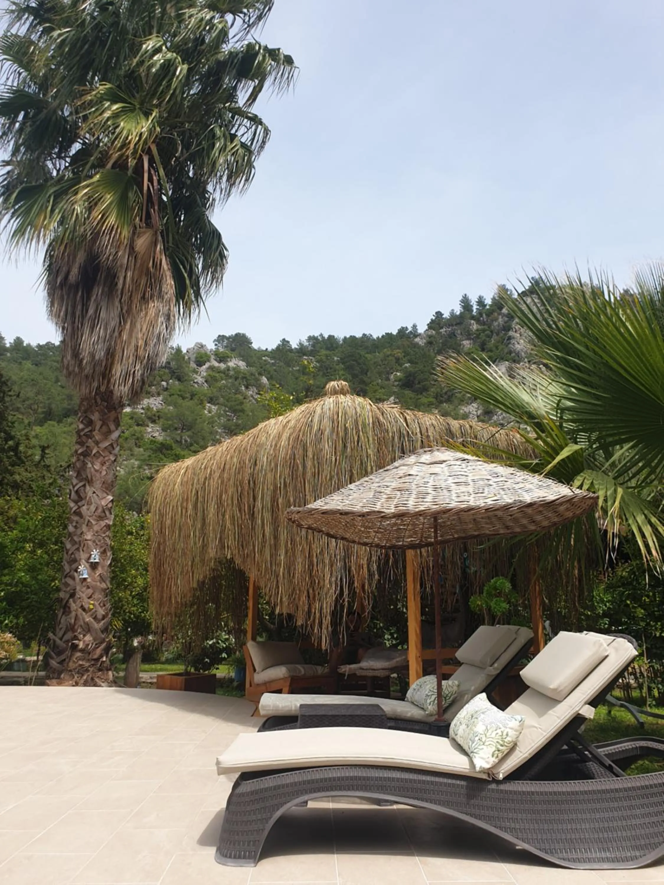 Garden in Portalimo Lodge Hotel - Adult Only +12