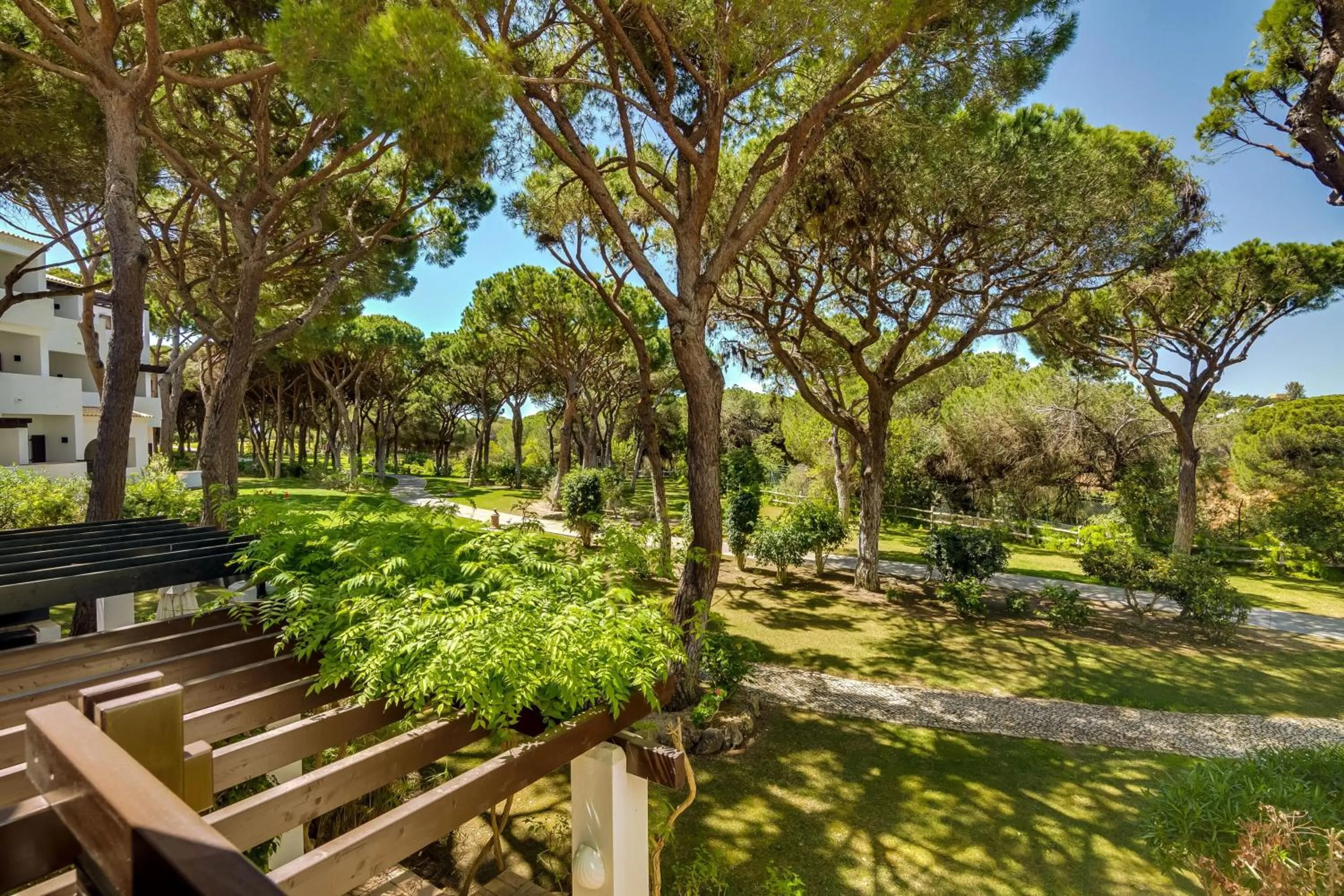 View (from property/room) in Pine Cliffs Village