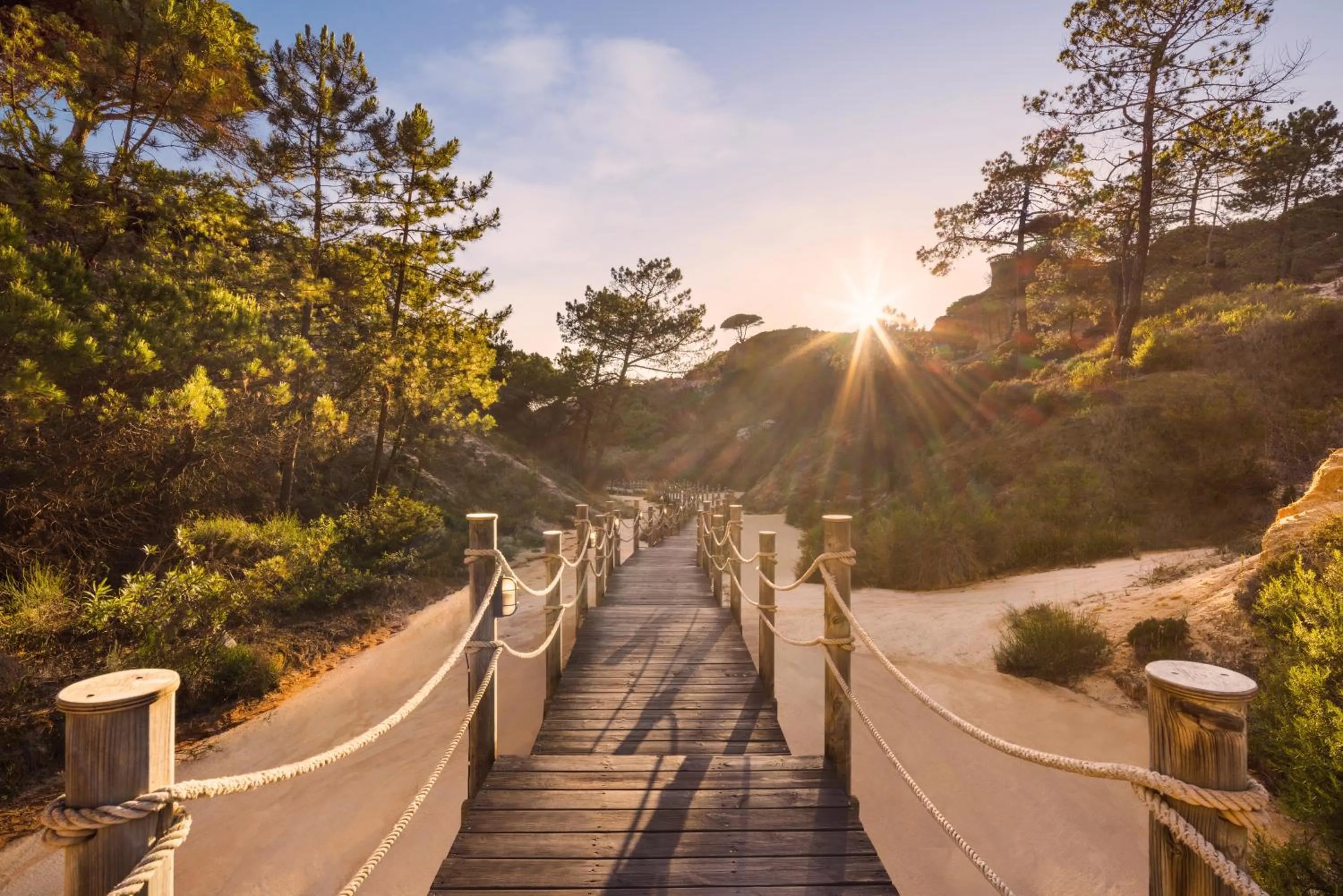 Natural landscape in Pine Cliffs Village