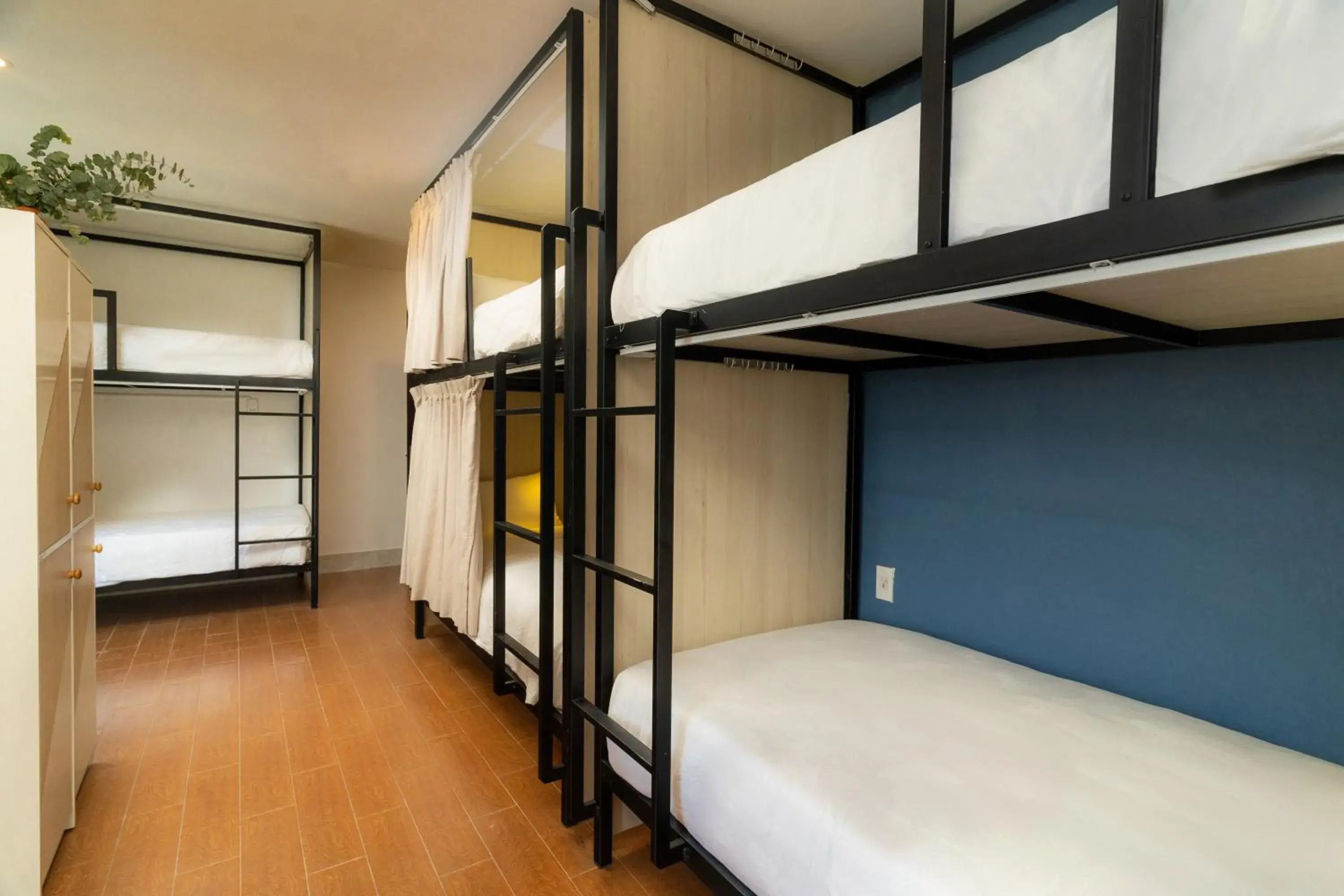 Bed in 8-Bed Mixed Dormitory Room in The Cuckoo's Nest Hostel and Bar managed by Hoianese Bed in 8-Bed Mixed Dormitory Room in The Cuckoo's Nest Hostel and Bar managed by Hoianese