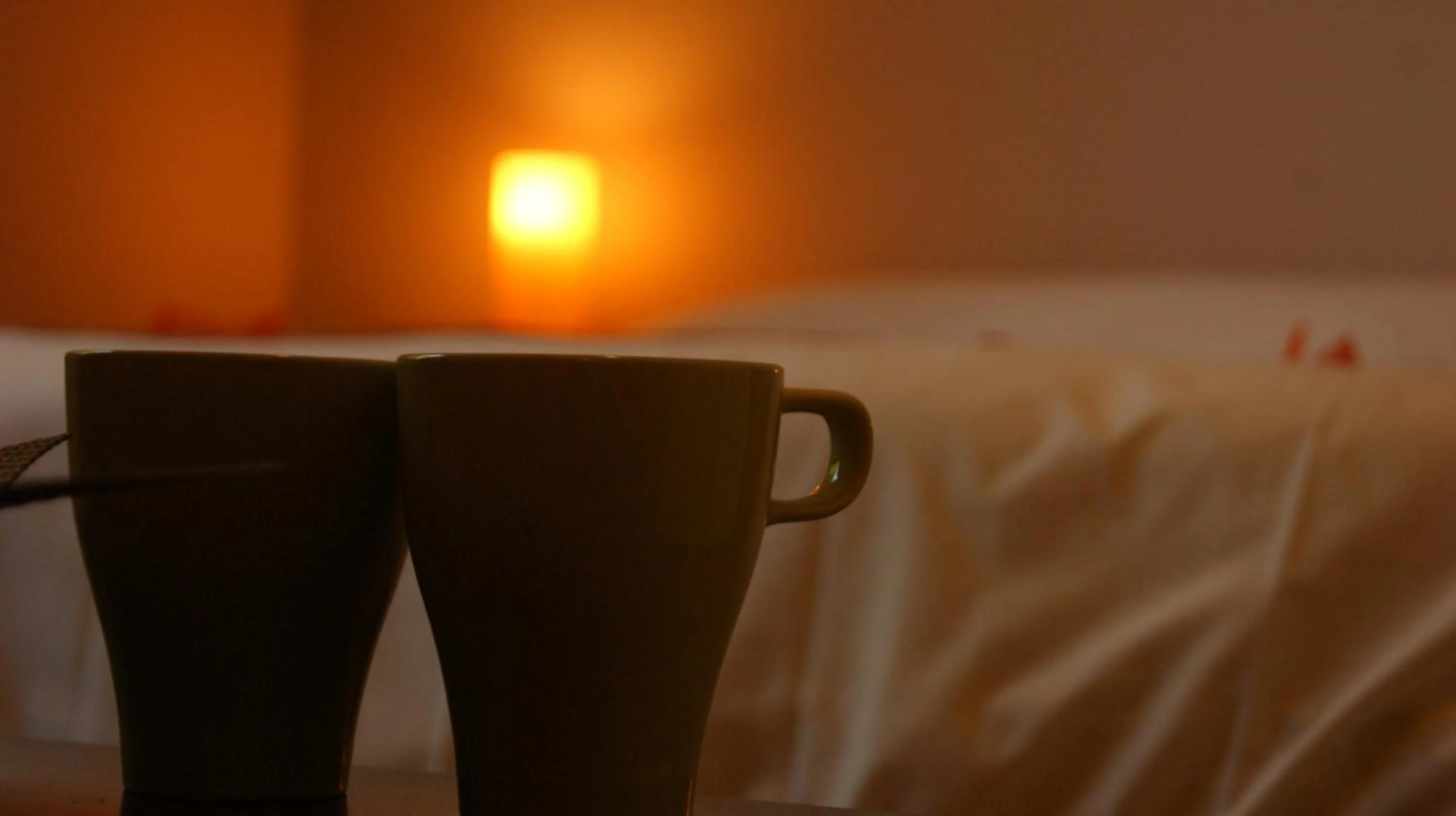 Bed in Vegan Inn Airport - Adults Only - LATE CHECK IN